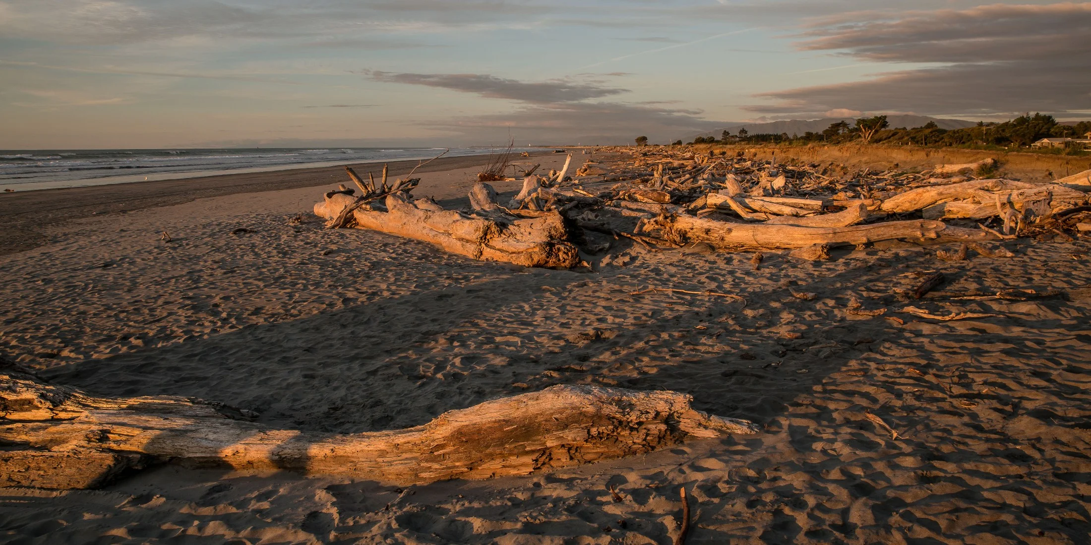 Carters Beach,d-658.jpg