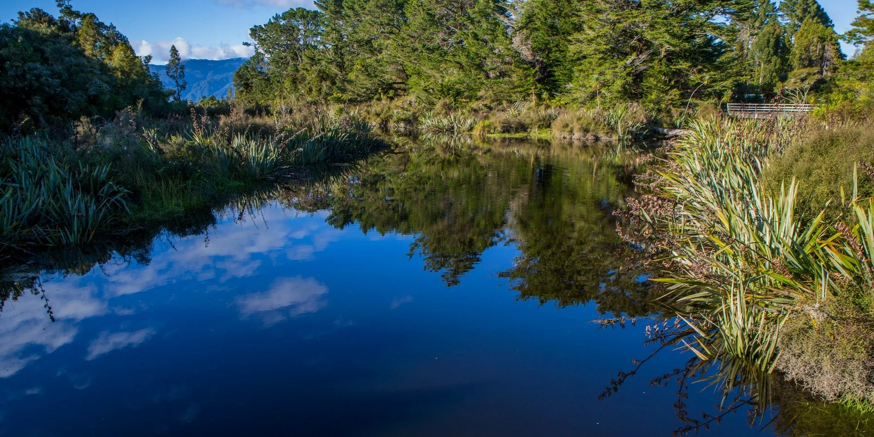 Carters Beach,d-698.jpg