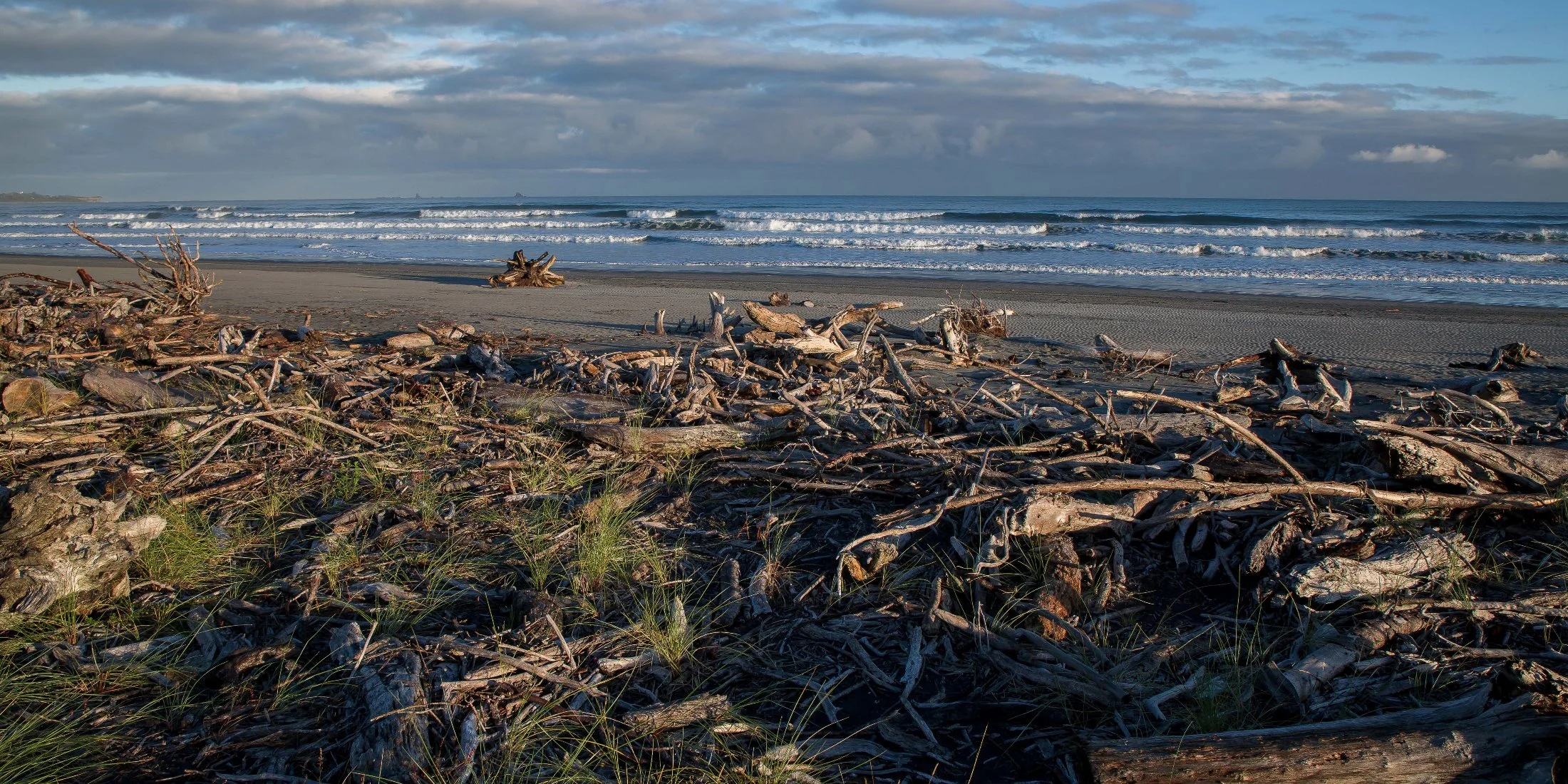 Carters Beach,d-696.jpg