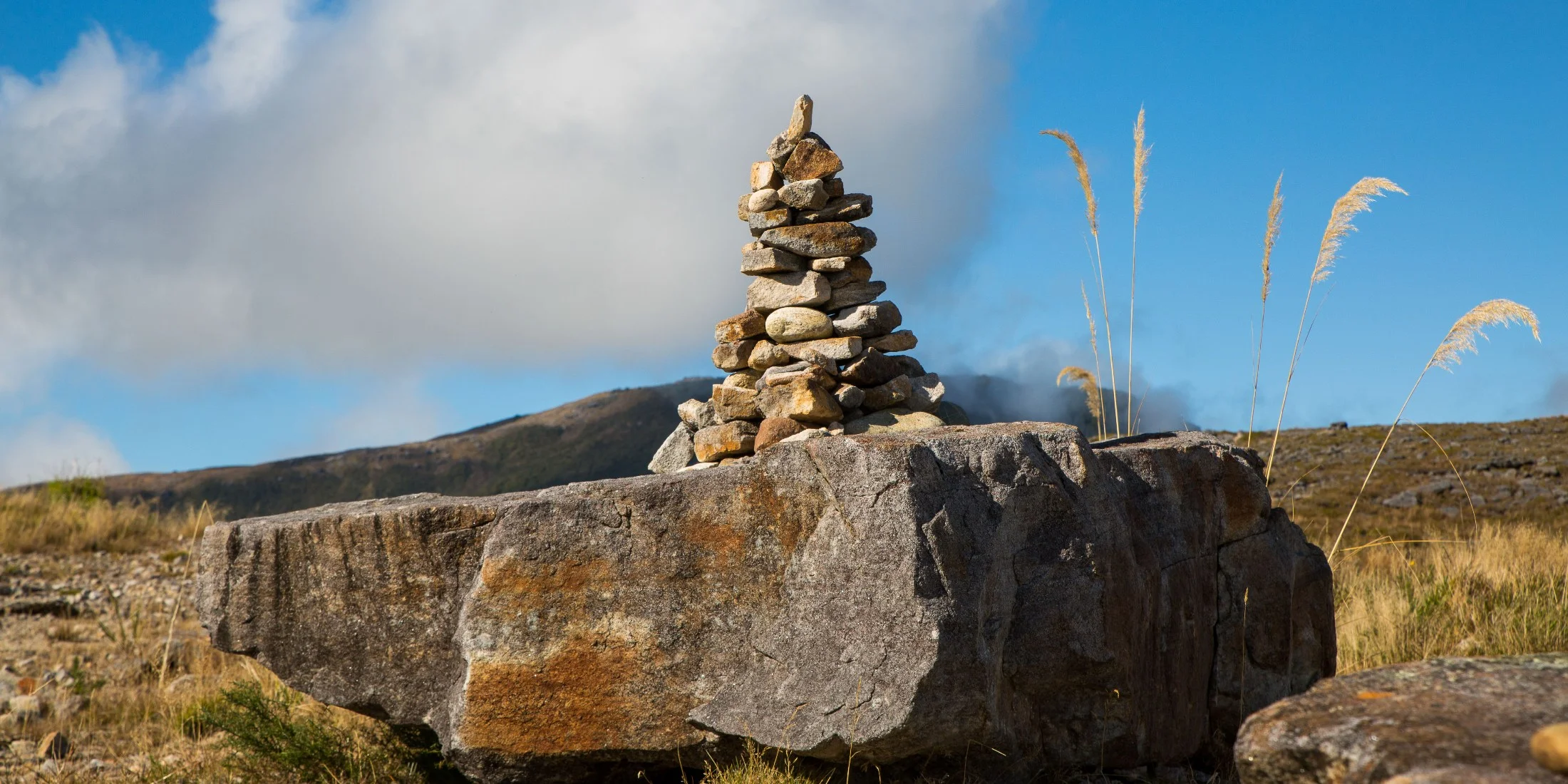 Denniston Plateau,d-727.jpg