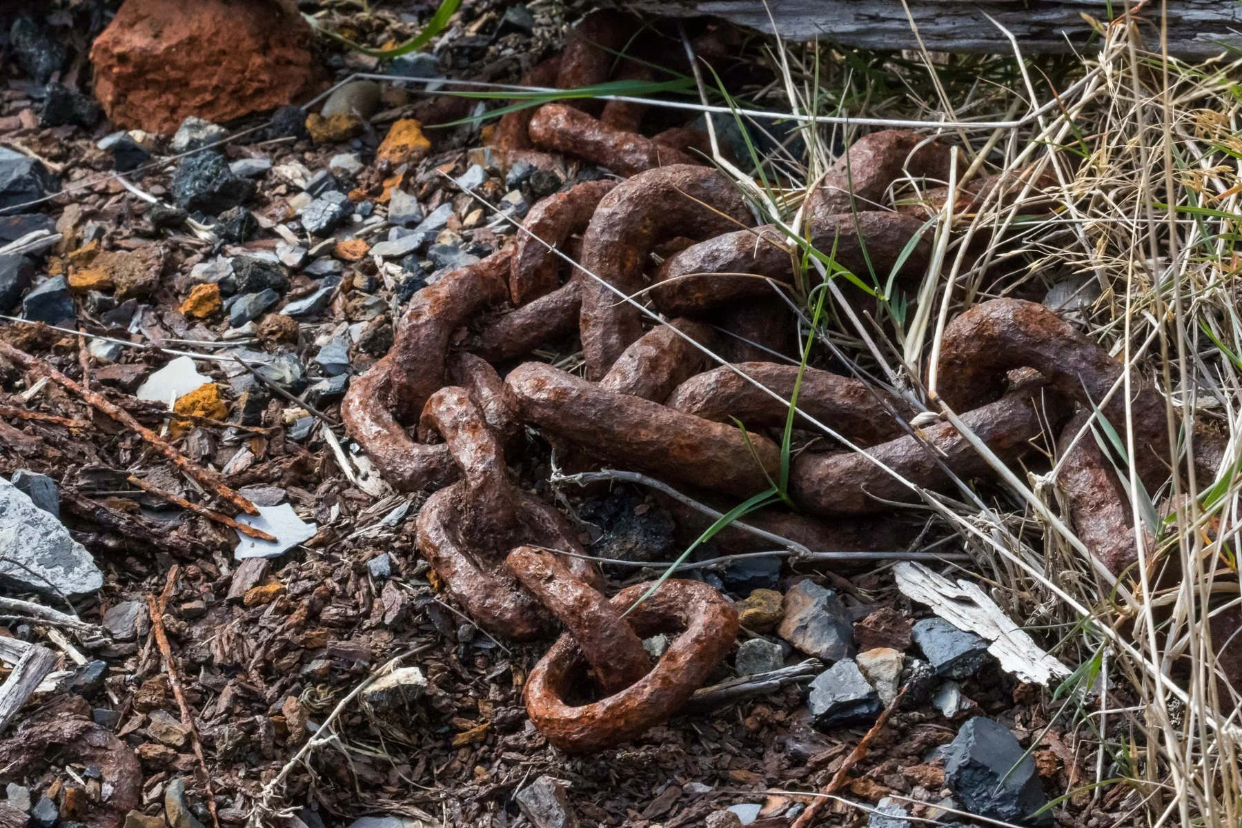 Denniston,Coalbrookedale Mine,d-461.jpg