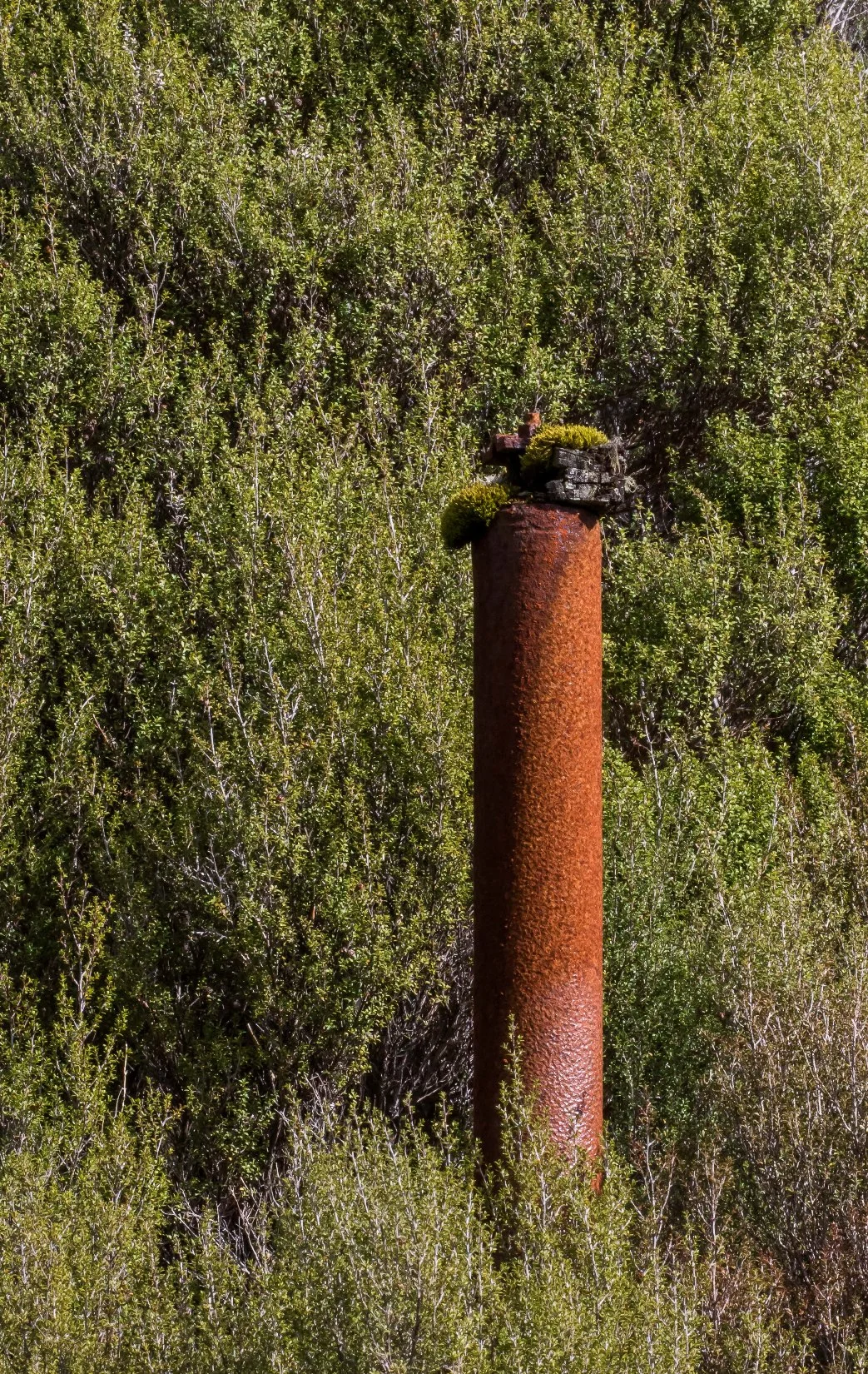 Denniston,Coalbrookedale Mine,d-467.jpg