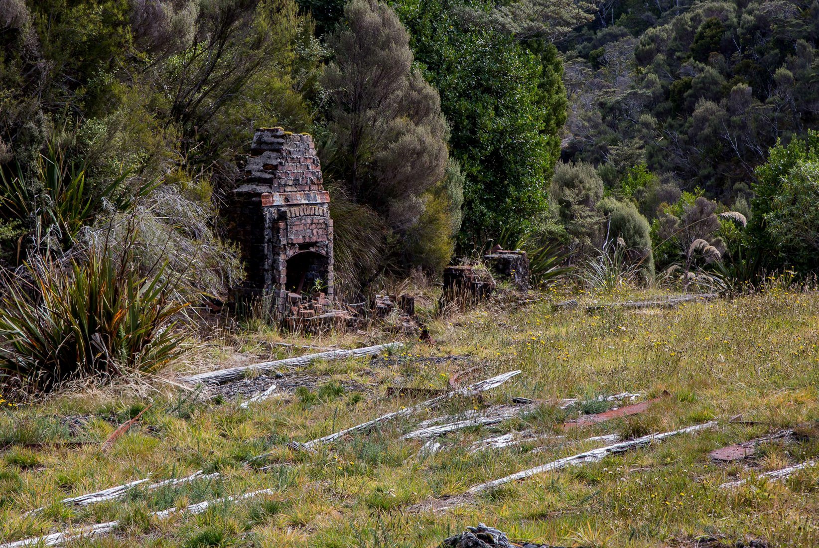 Denniston,Coalbrookedale Mine,d-779.jpg