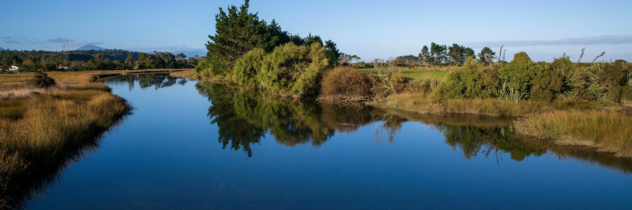 Karamea Estuary,d-822.jpg
