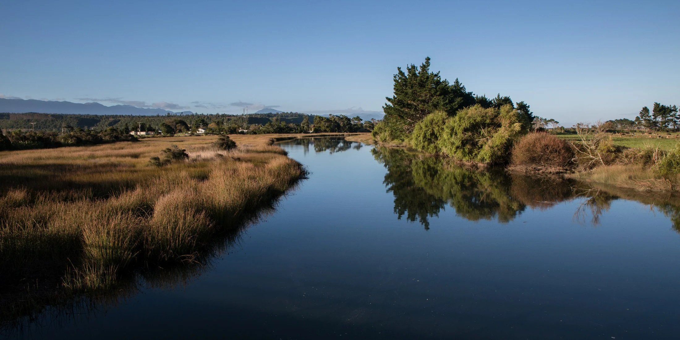 Karamea Estuary,d-823.jpg