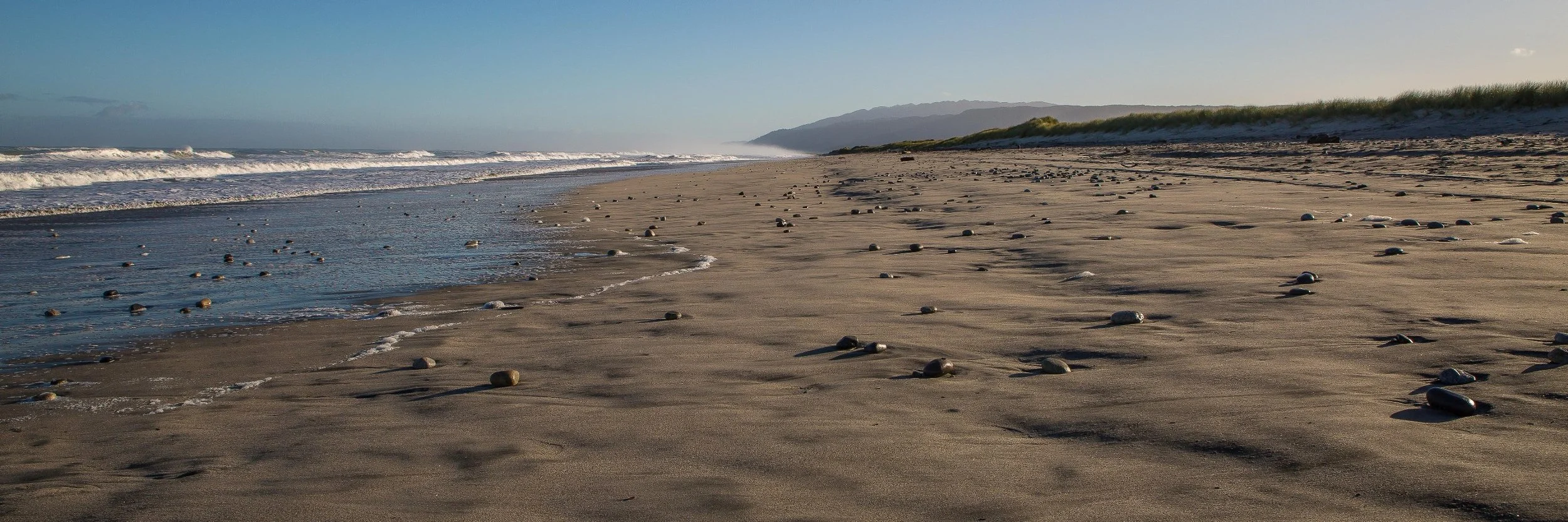 Karamea, Coast,d-826.jpg