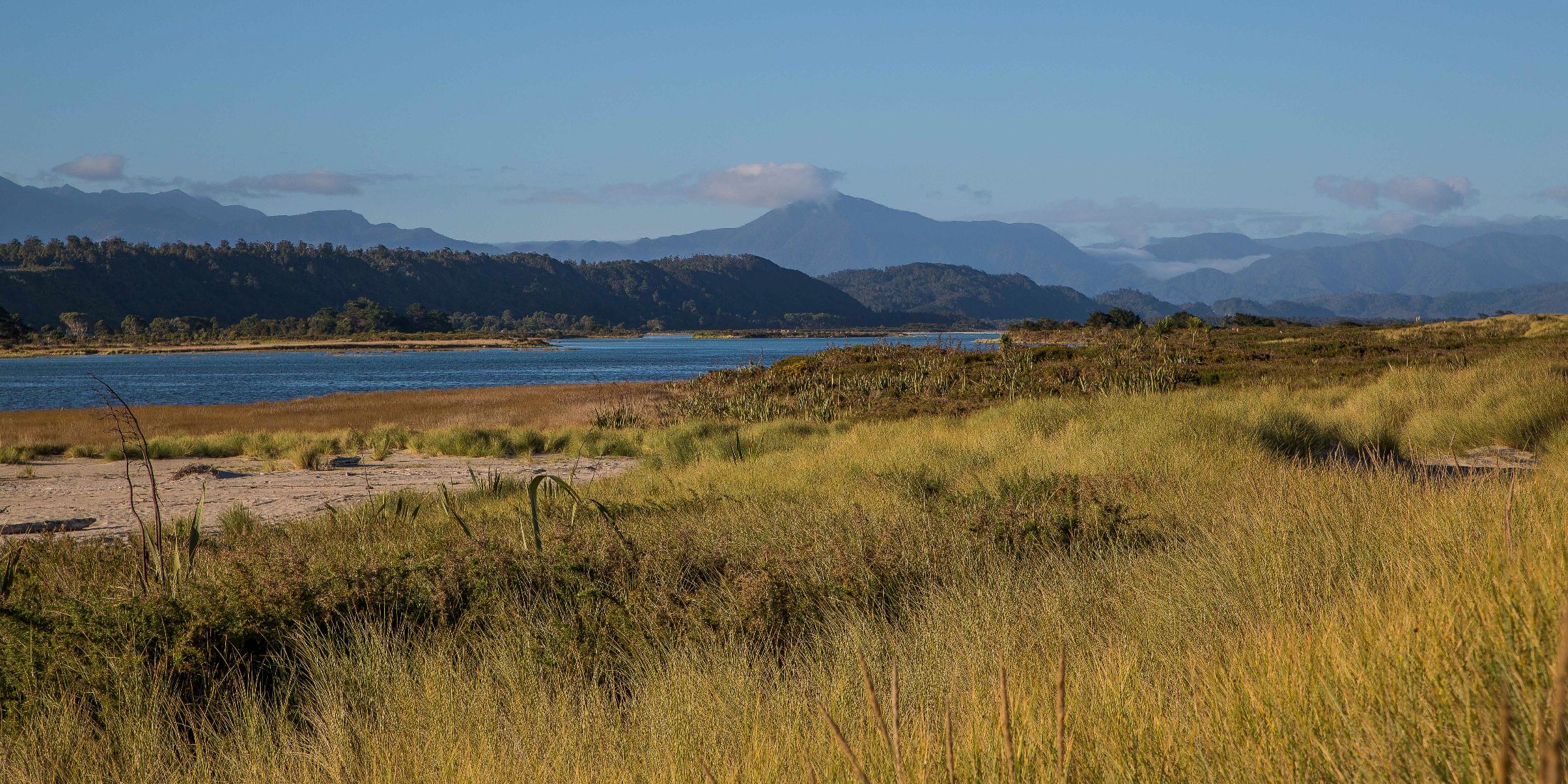 Karamea, Coast,d-830.jpg