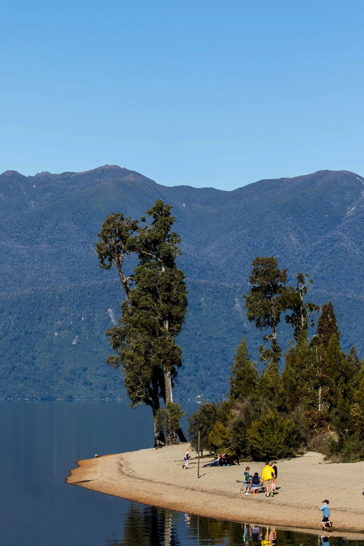 Lake Brunner,d-870.jpg