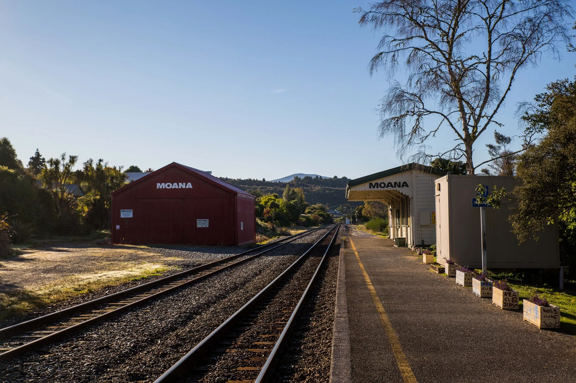 Lake Brunner,d-1157.jpg