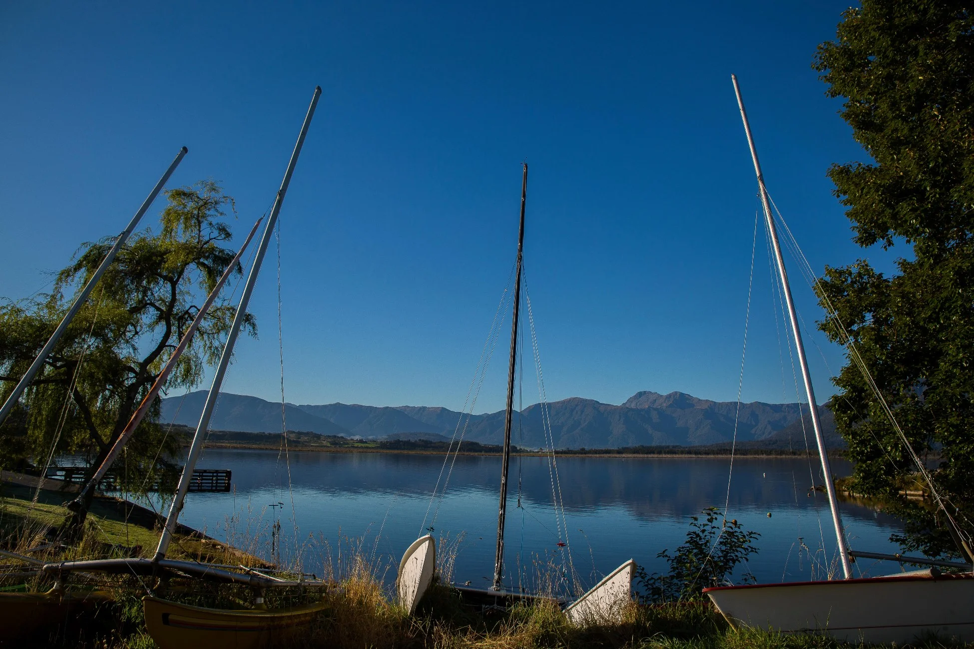 Lake Brunner,d-1160.jpg