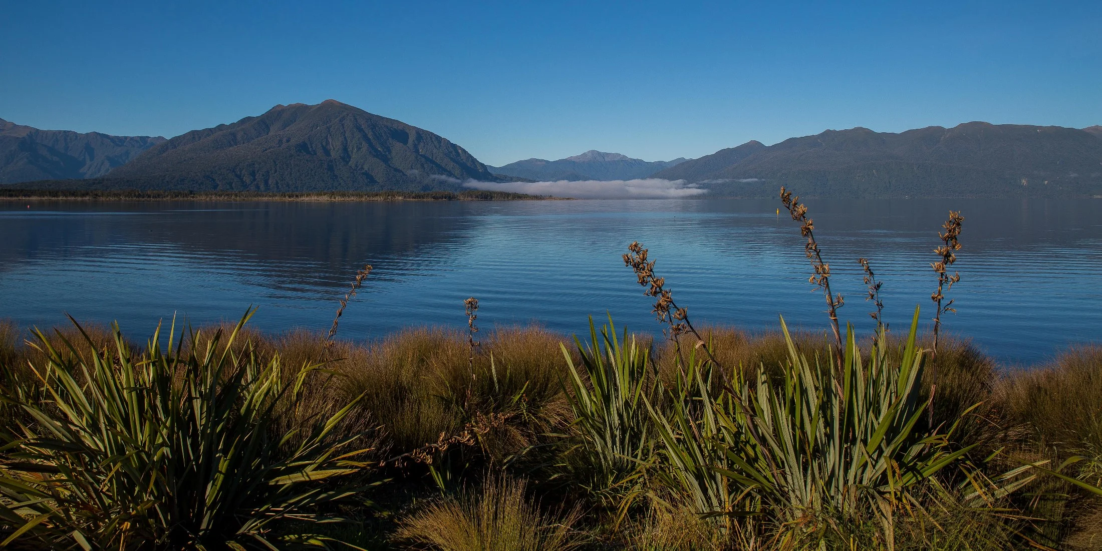Lake Brunner,d-1169.jpg