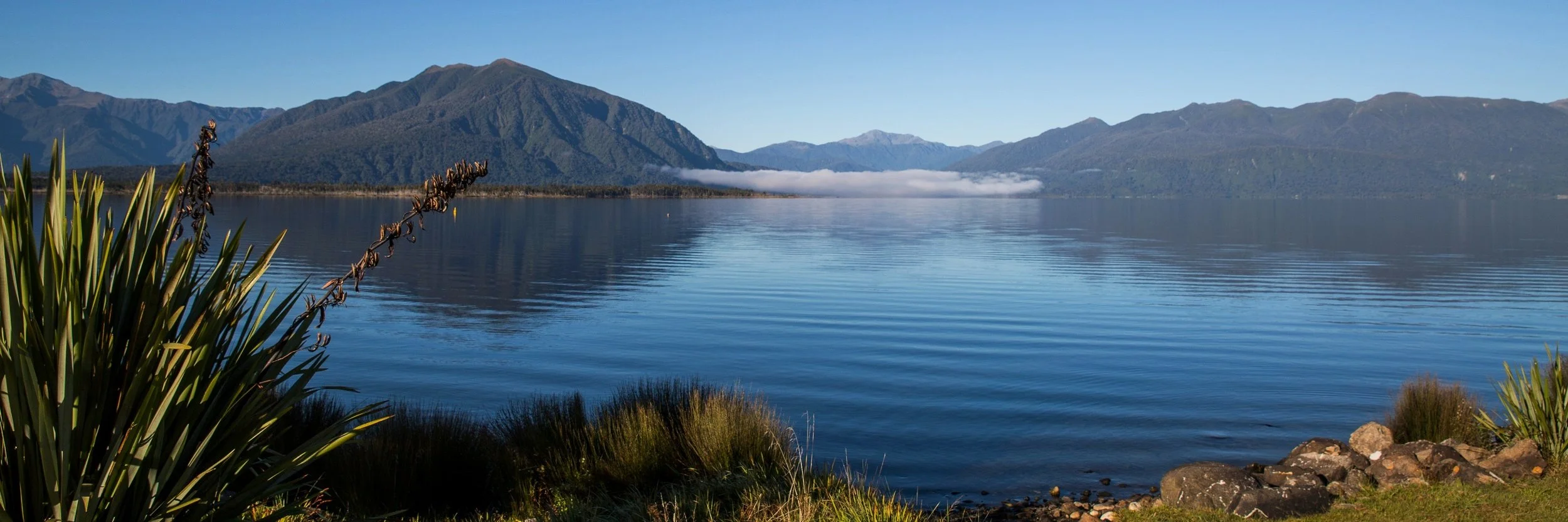 Lake Brunner,d-1173.jpg