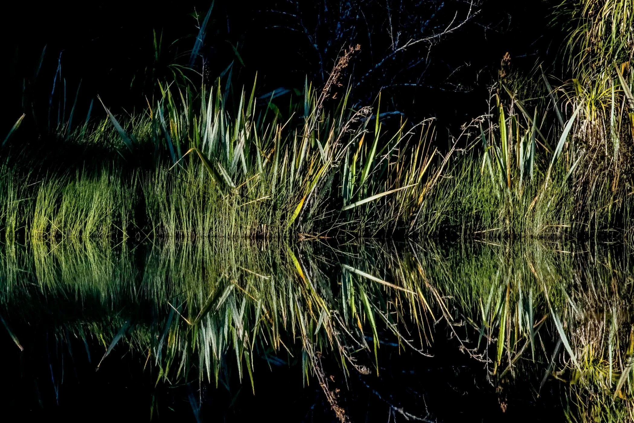 Lake Hanlon,d-741.jpg