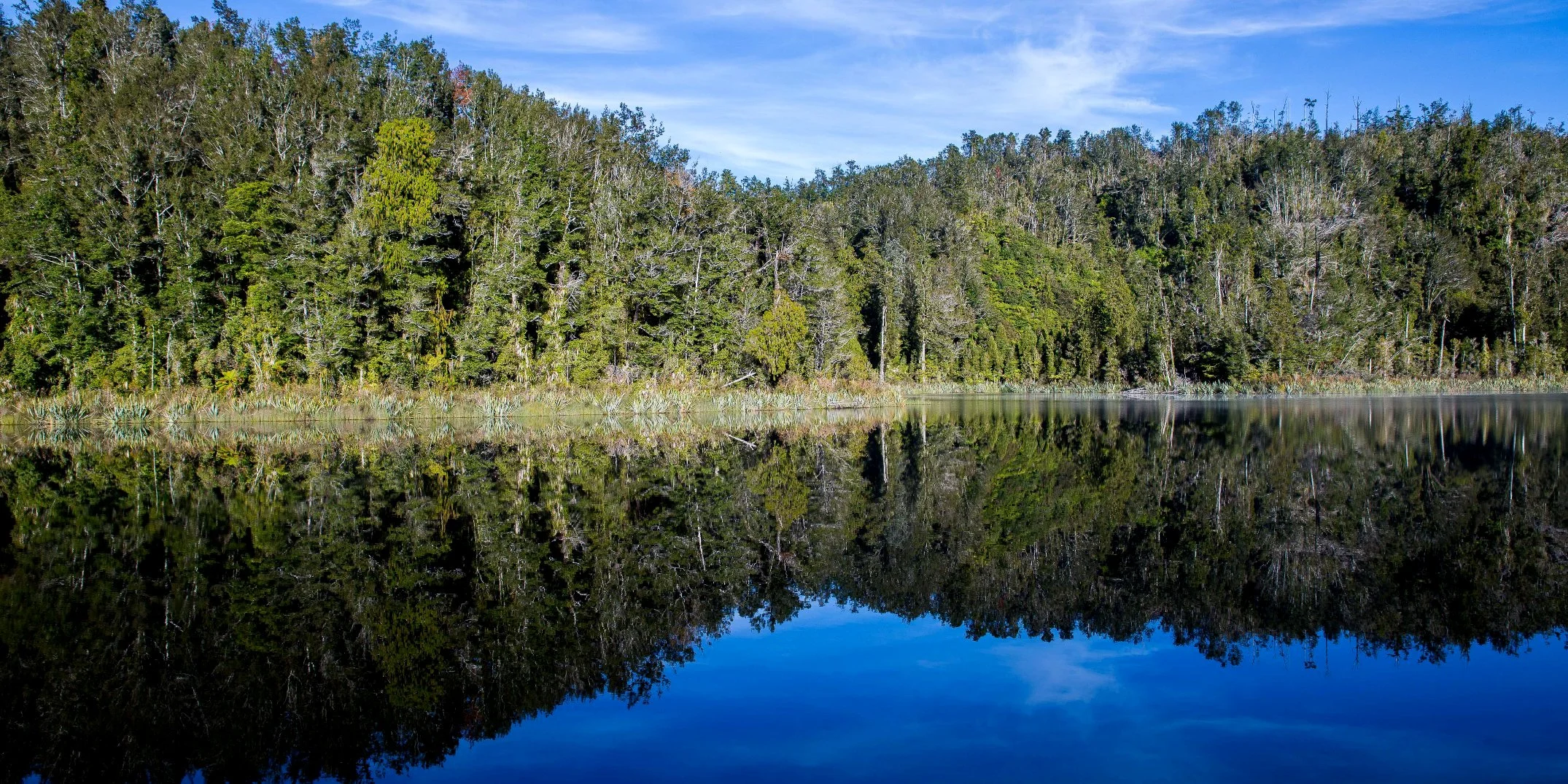 Lake Hanlon,d-1016.jpg