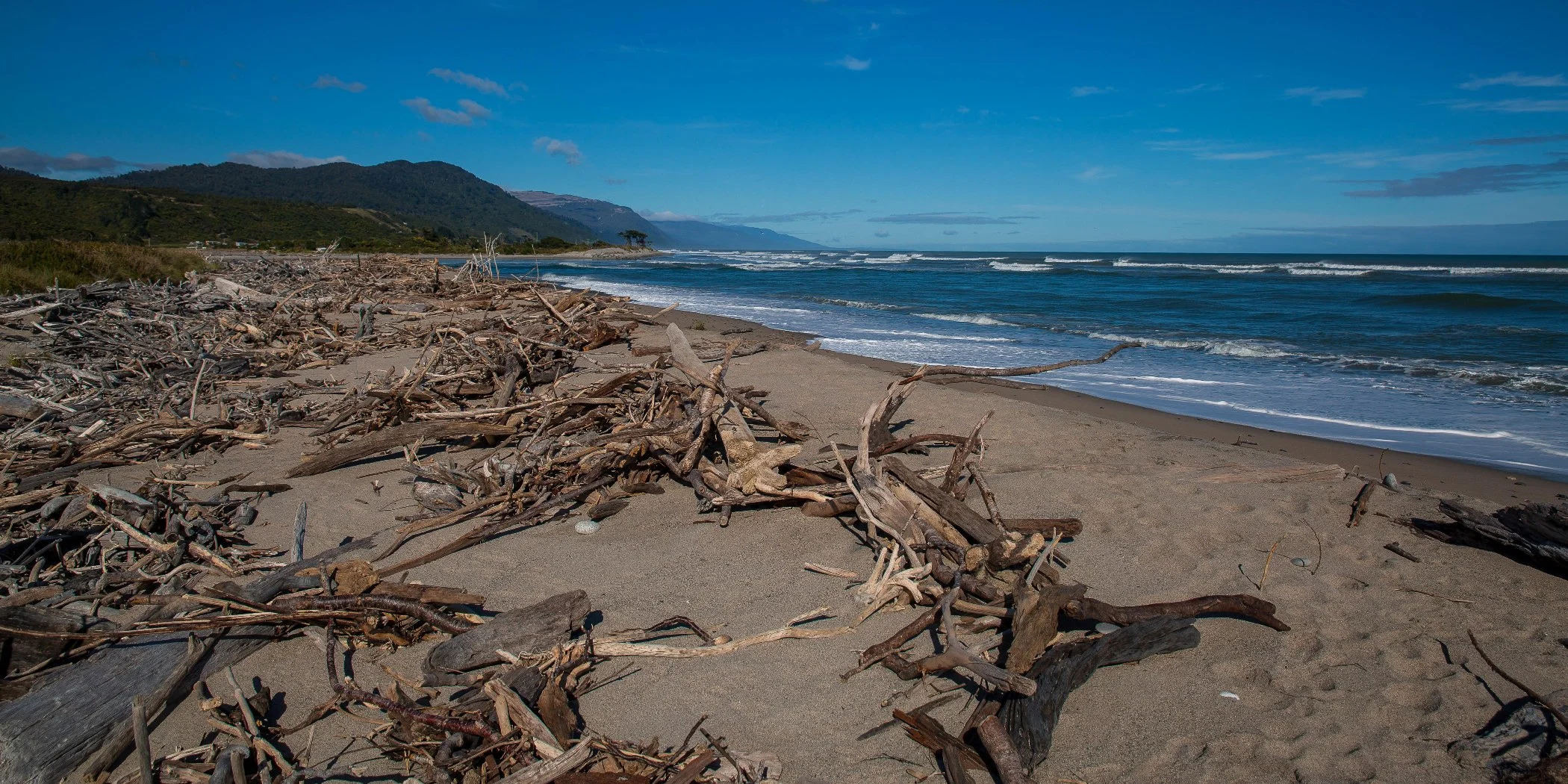 Mokohinui Coast,d-1045.jpg