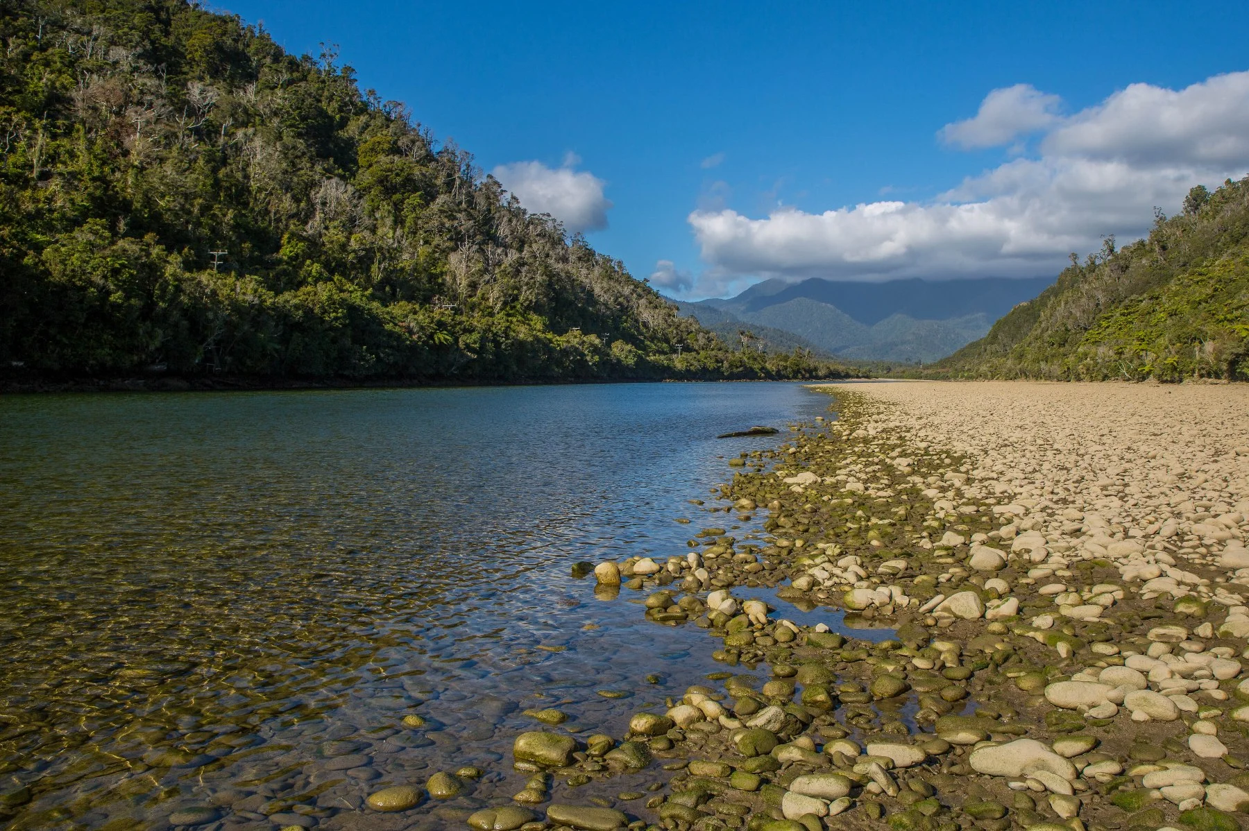 Mokohinui River,d-817.jpg
