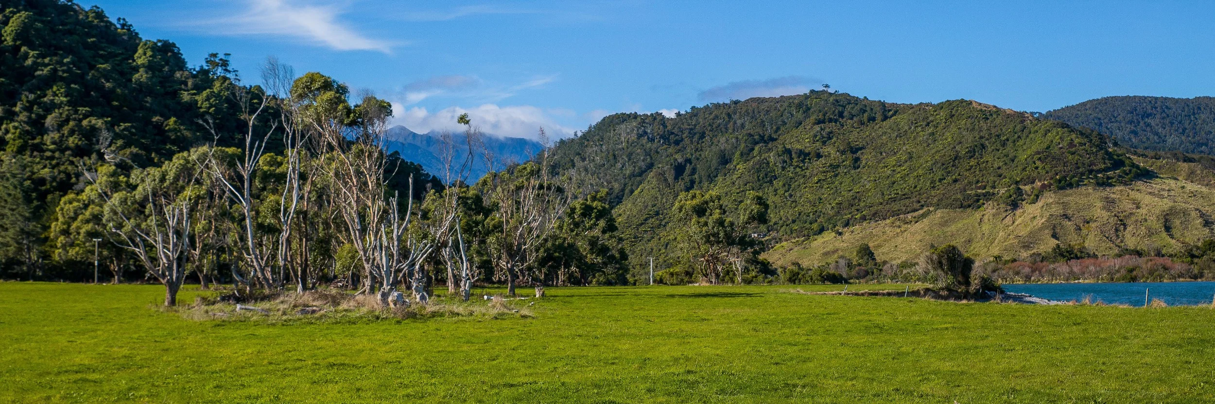 Mokohinui River,d-1027.jpg