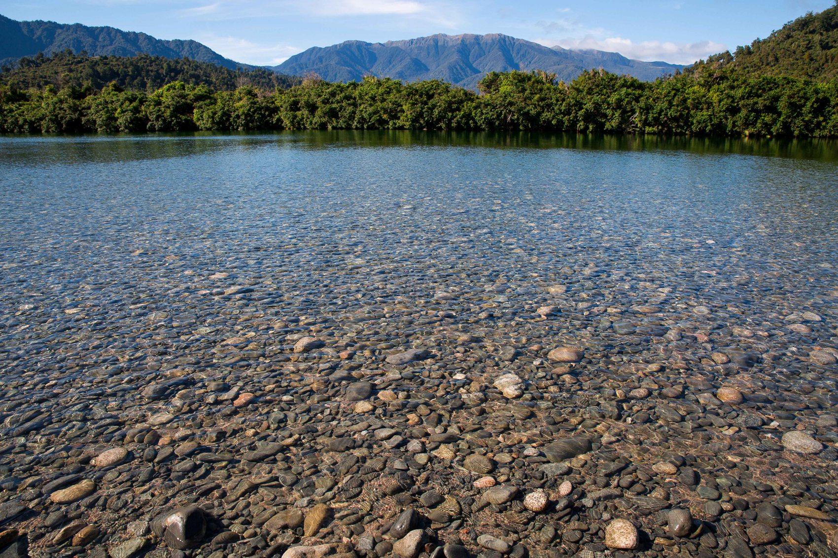 Mokohinui River,d-1056.jpg