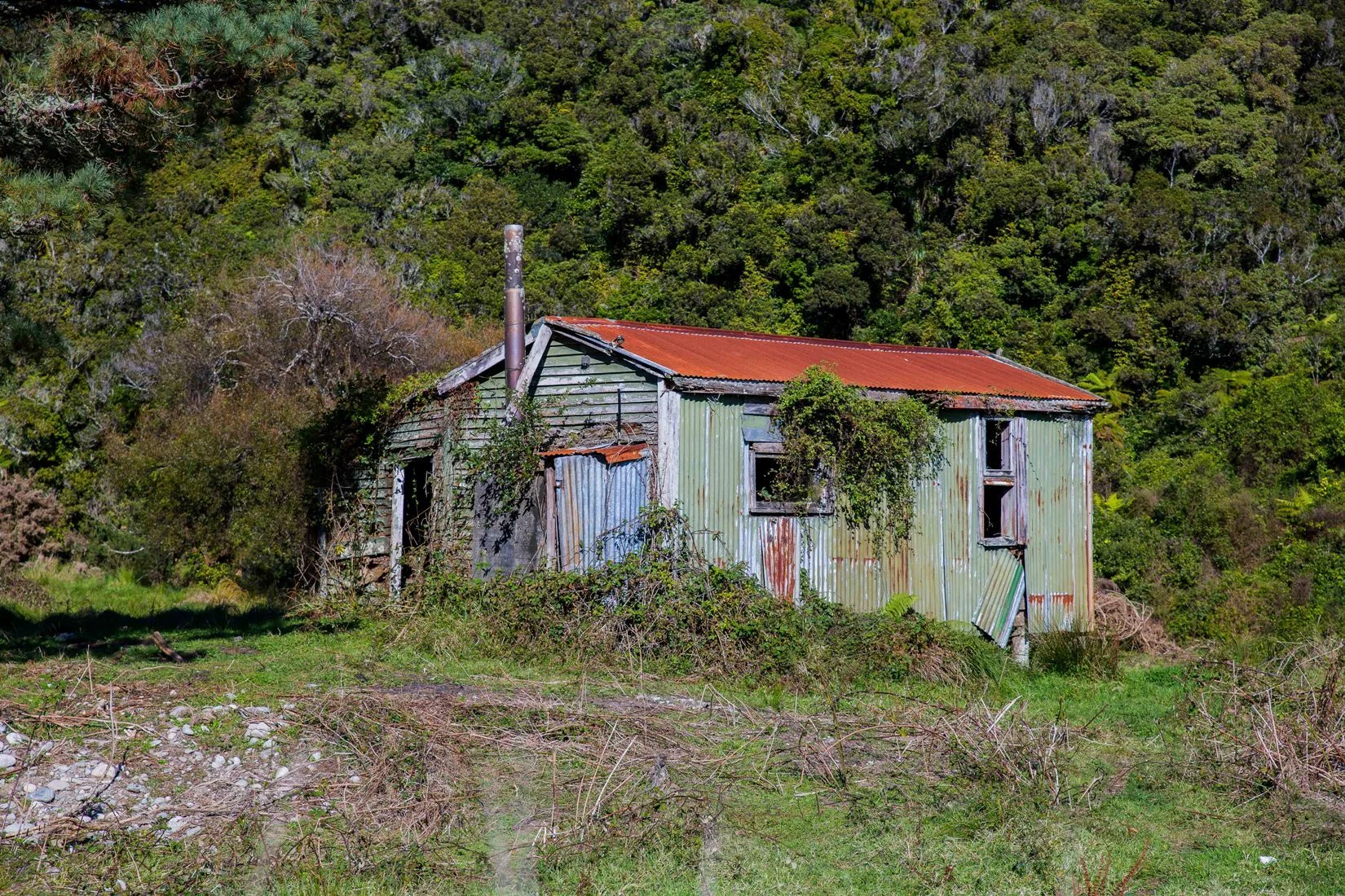 Mokohinui River,d-1059.jpg