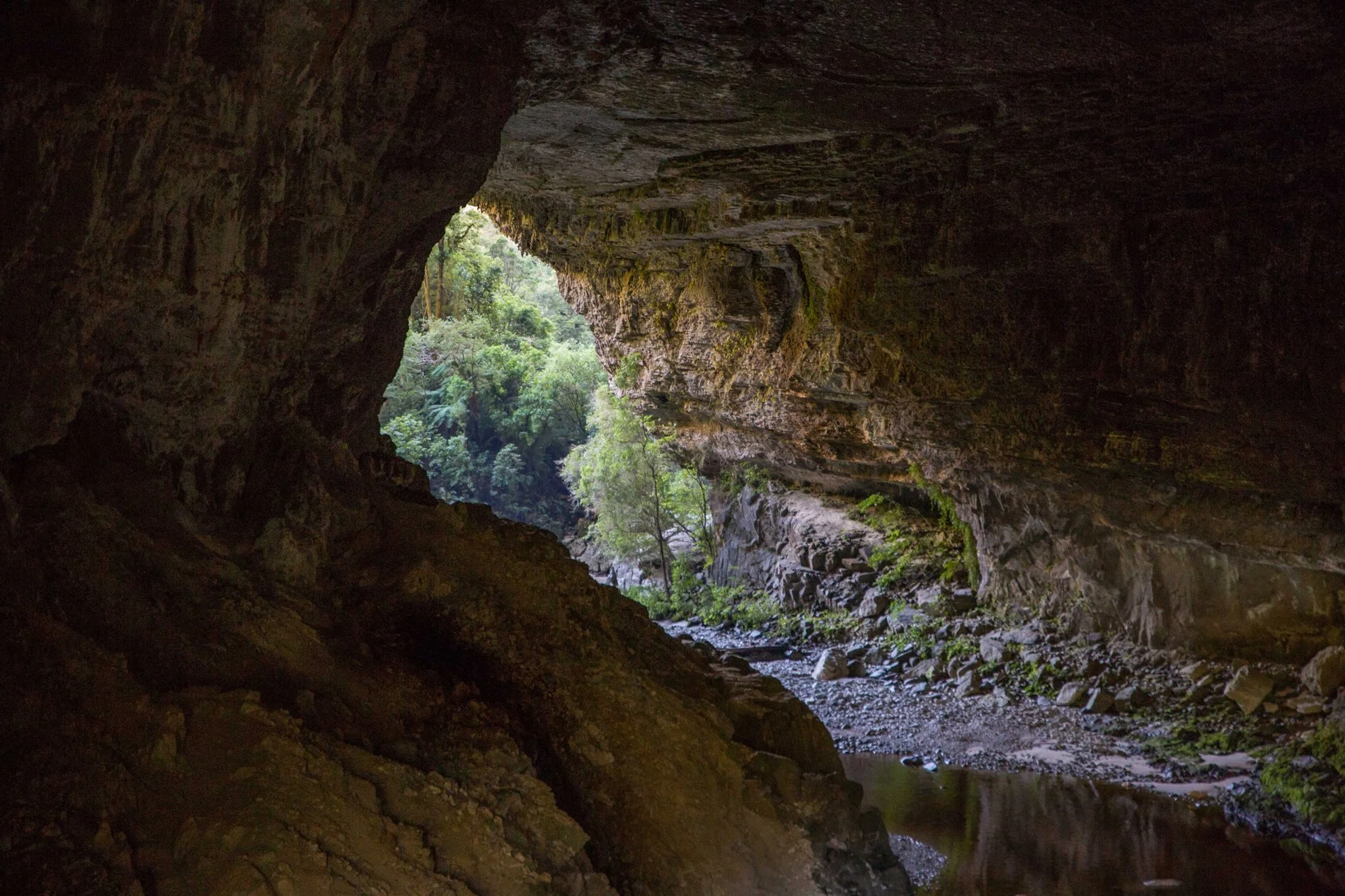 Oparara Arch,d-891.jpg