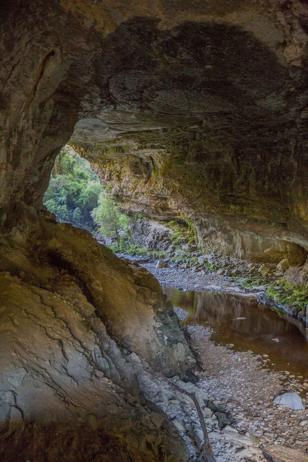 Oparara Arch,d-892.jpg