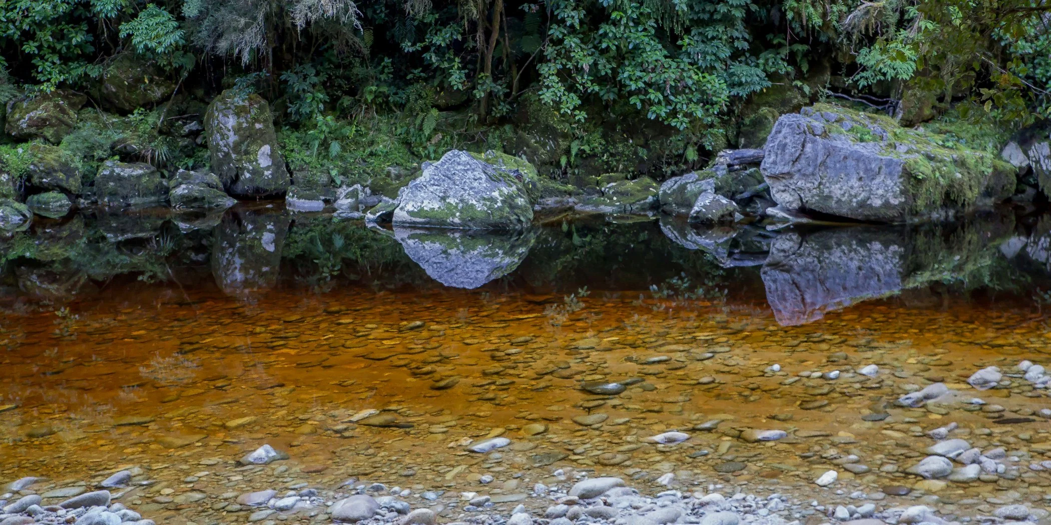 Oparara River,d-868.jpg