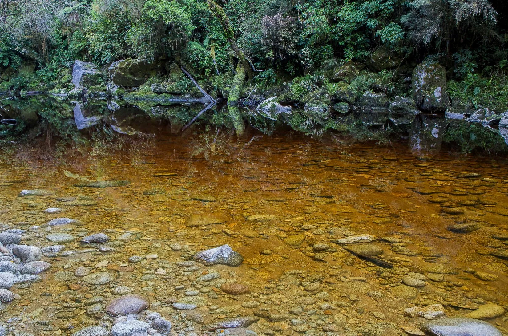 Oparara River,d-870.jpg
