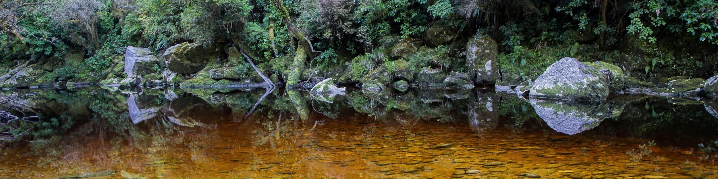 Oparara River,d-873.jpg