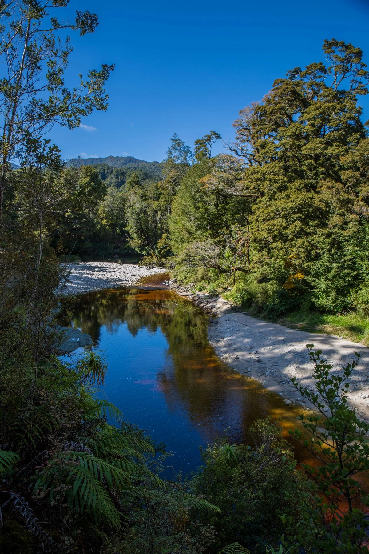 Oparara River,d-962.jpg