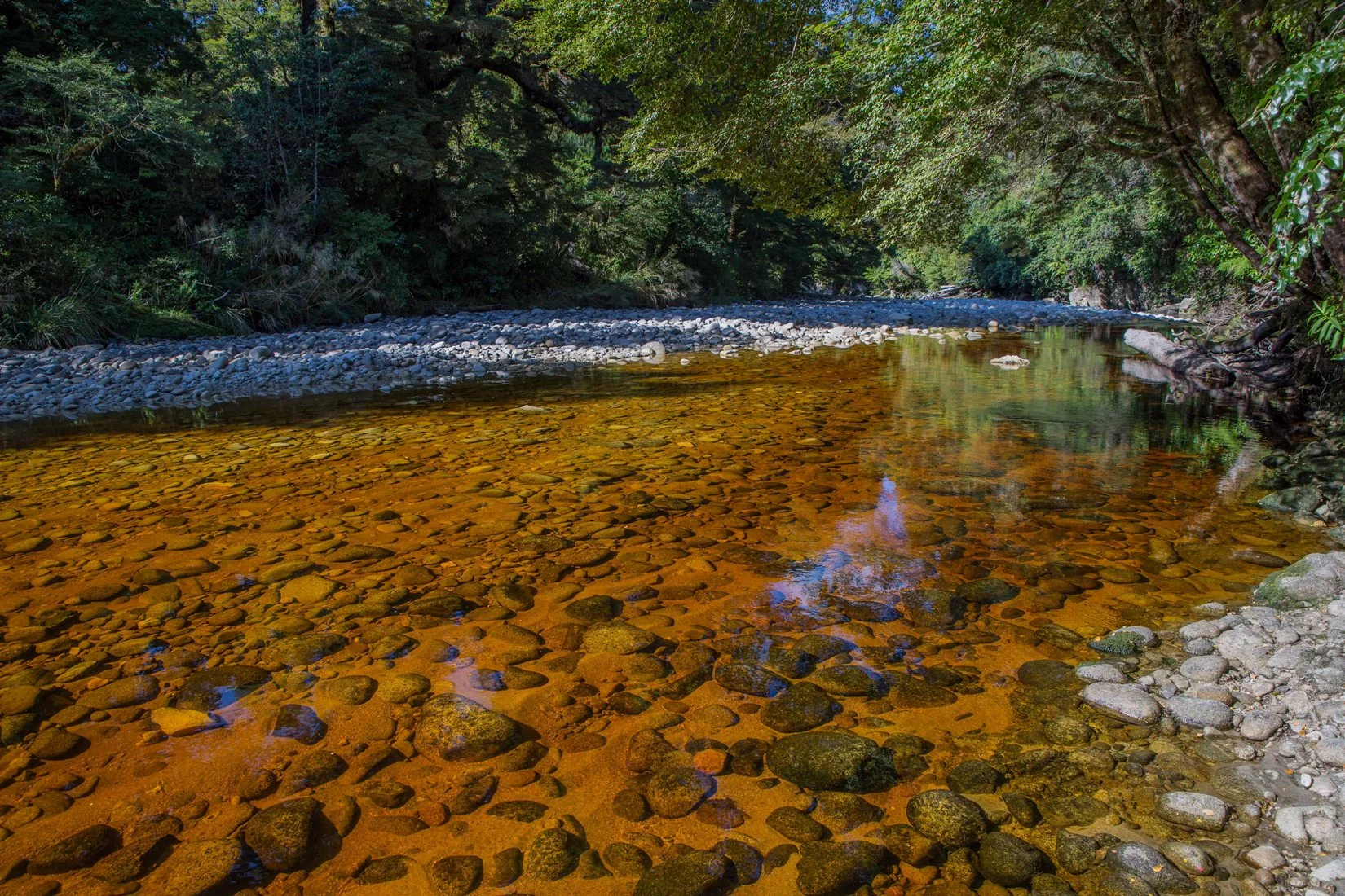 Oparara River,d-971.jpg