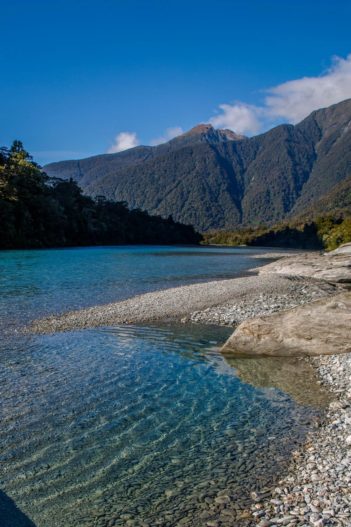 Haast River,-257.JPG