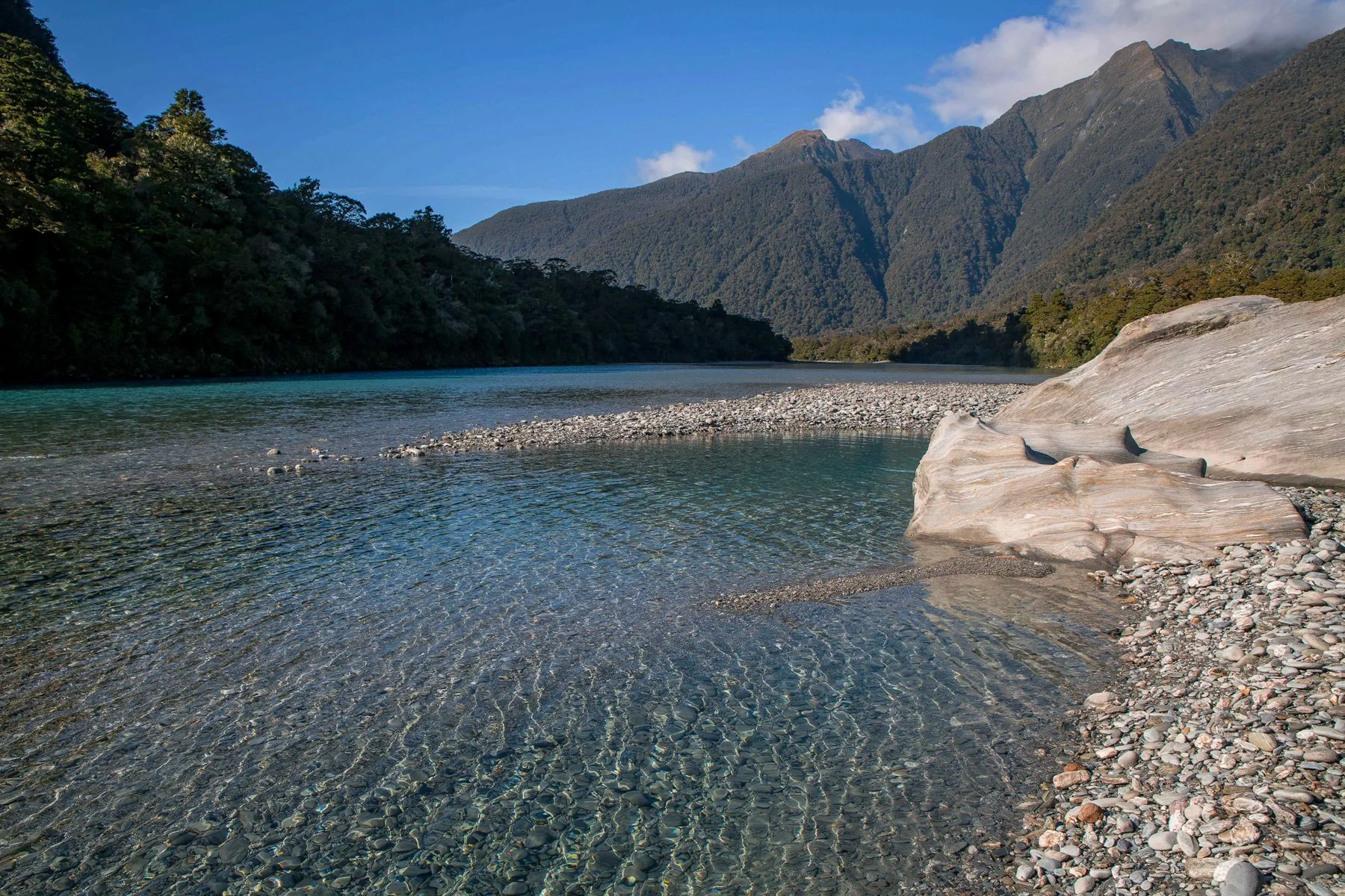 Haast River,-263.JPG