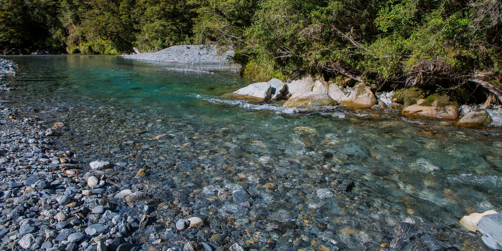 Haast River,-290.JPG