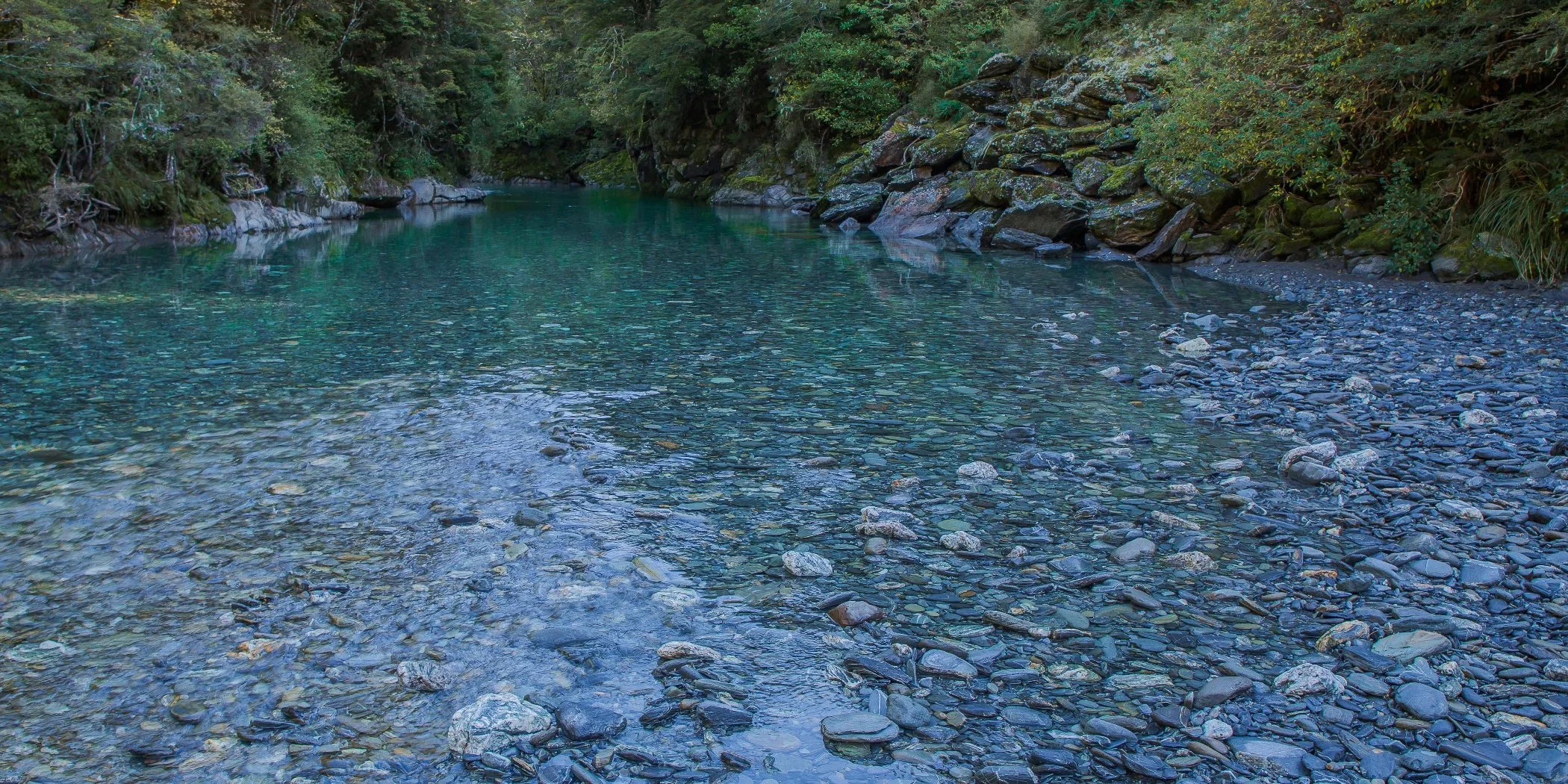 Haast River,-291.JPG