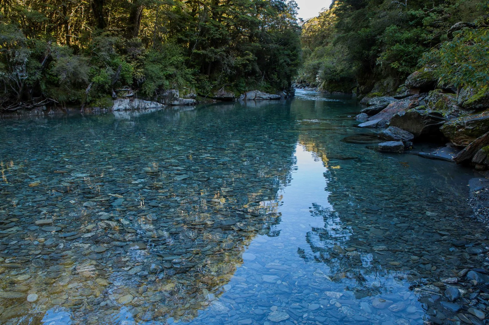Haast River,-292.JPG
