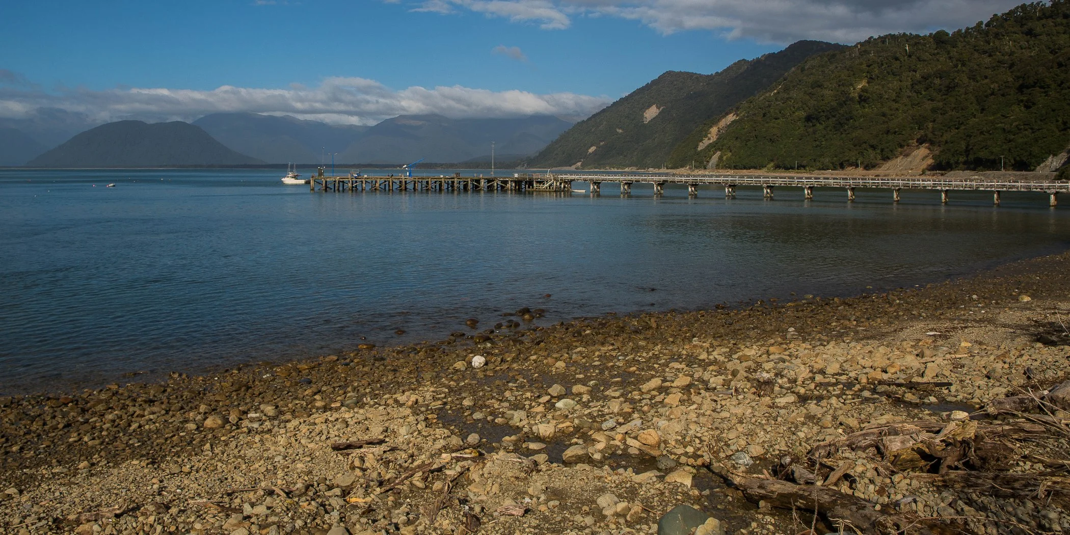 Jackson Bay,-118.JPG