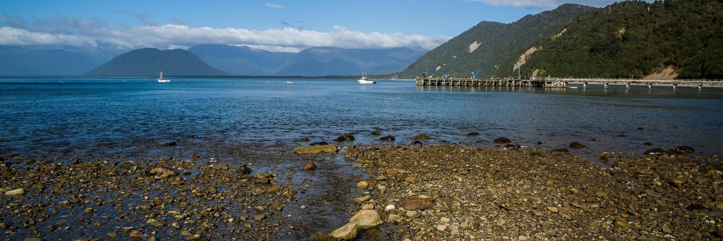 Jackson Bay,-119.JPG