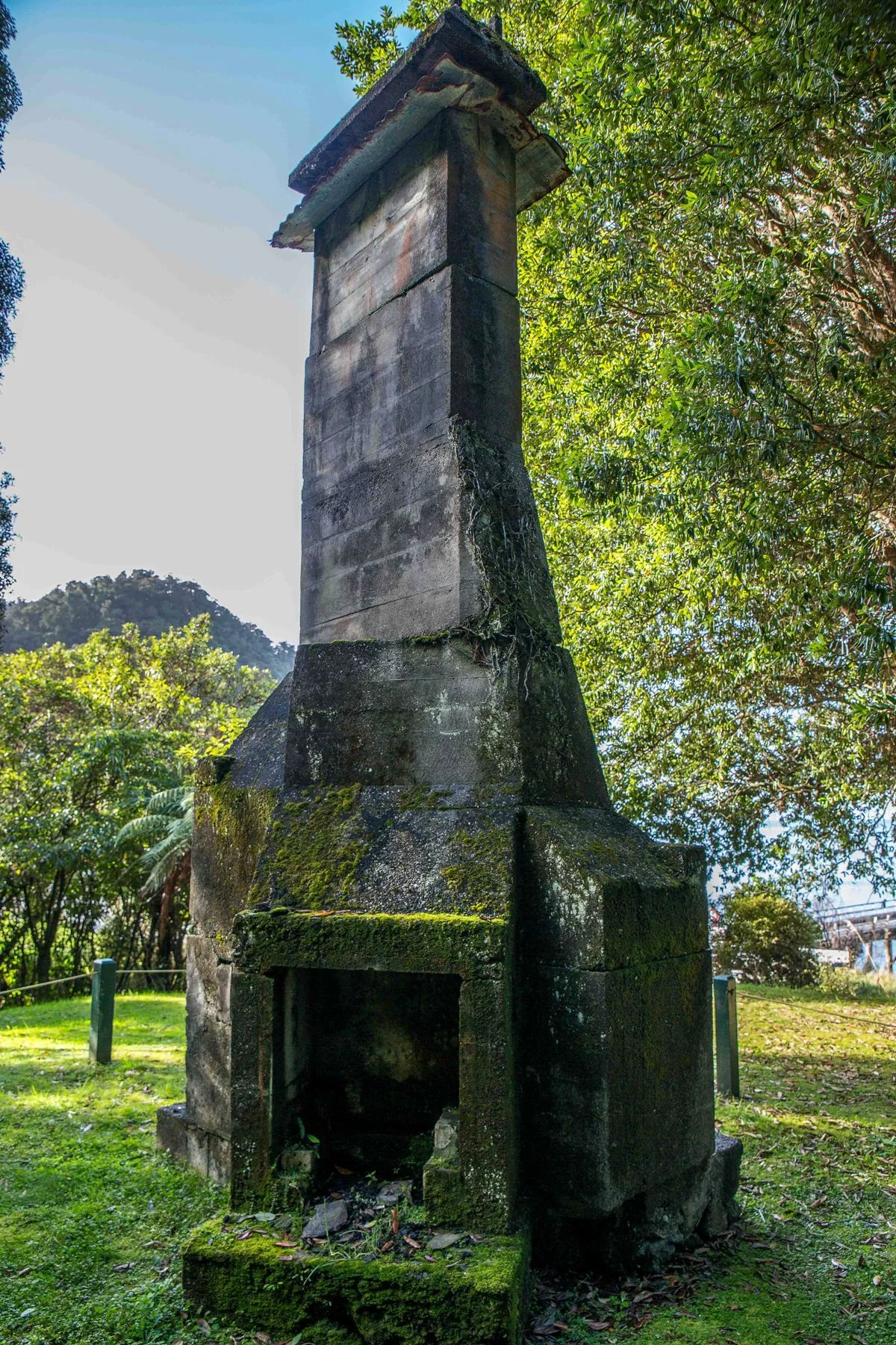 Jackson Bay,-125.JPG