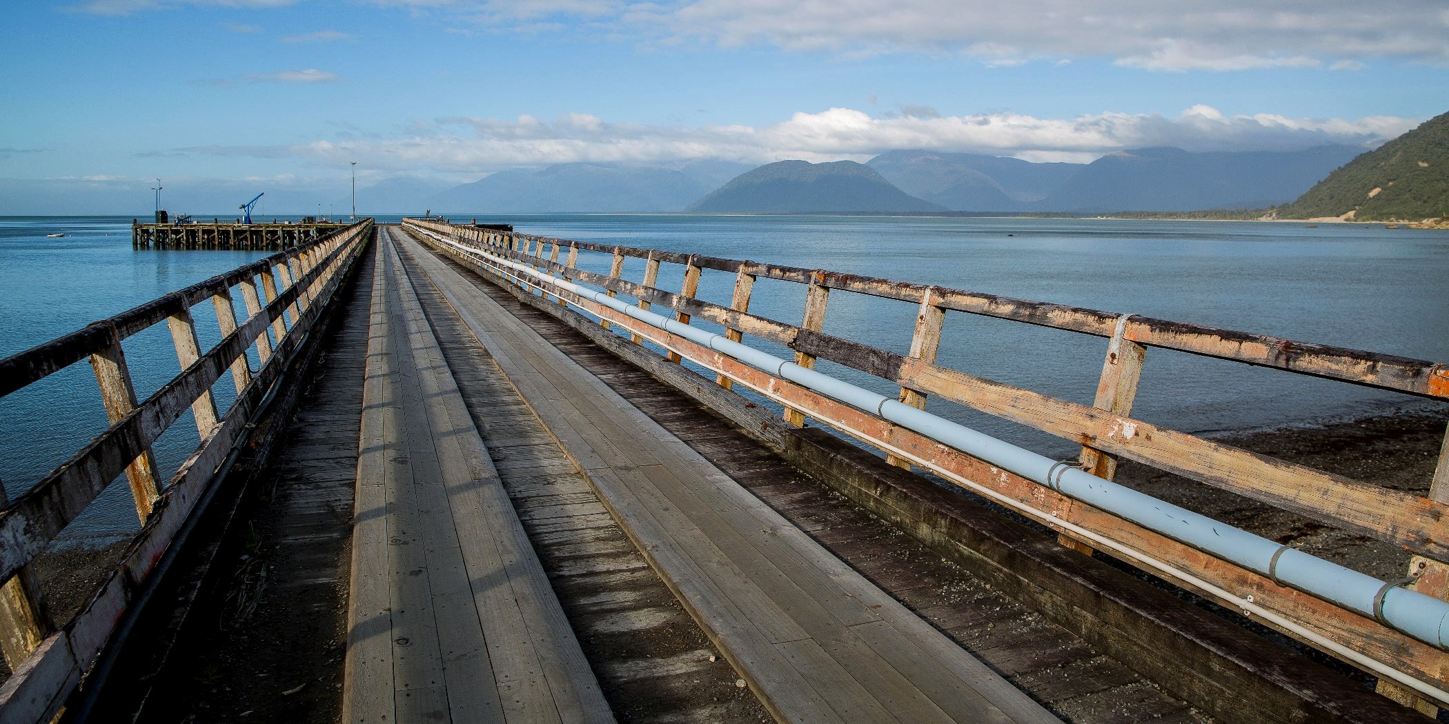 Jackson Bay,-127.JPG