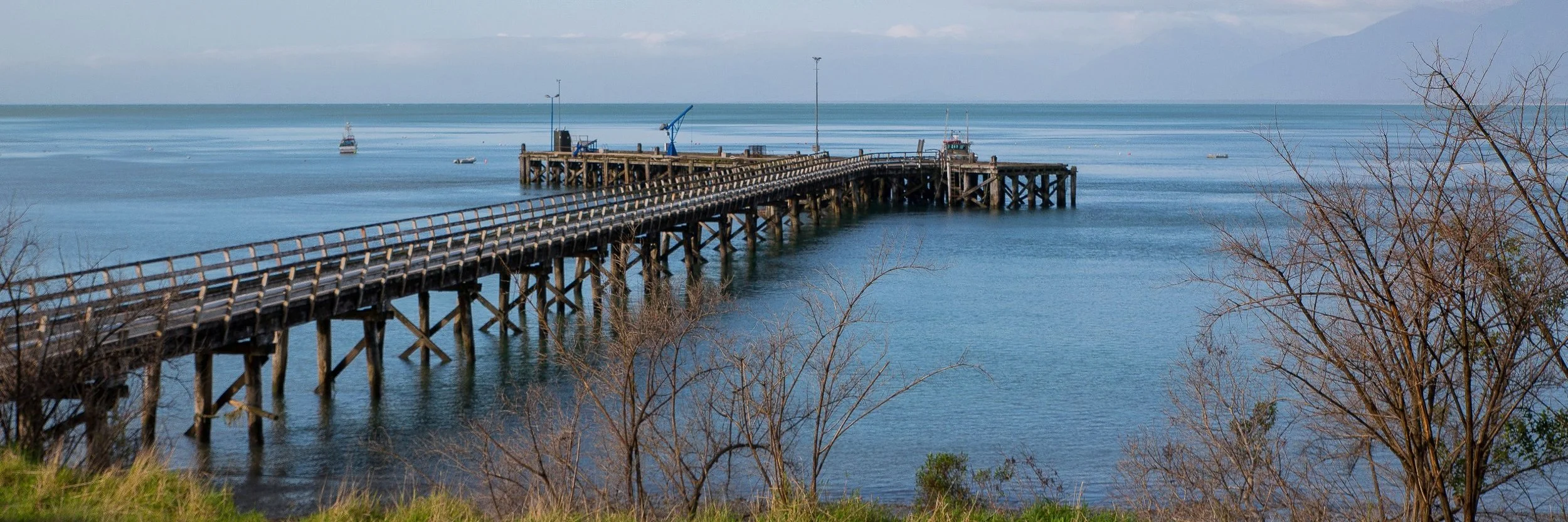 Jackson Bay,-126.JPG