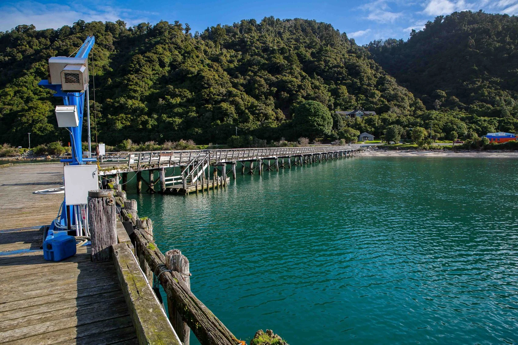 Jackson Bay,-132.JPG