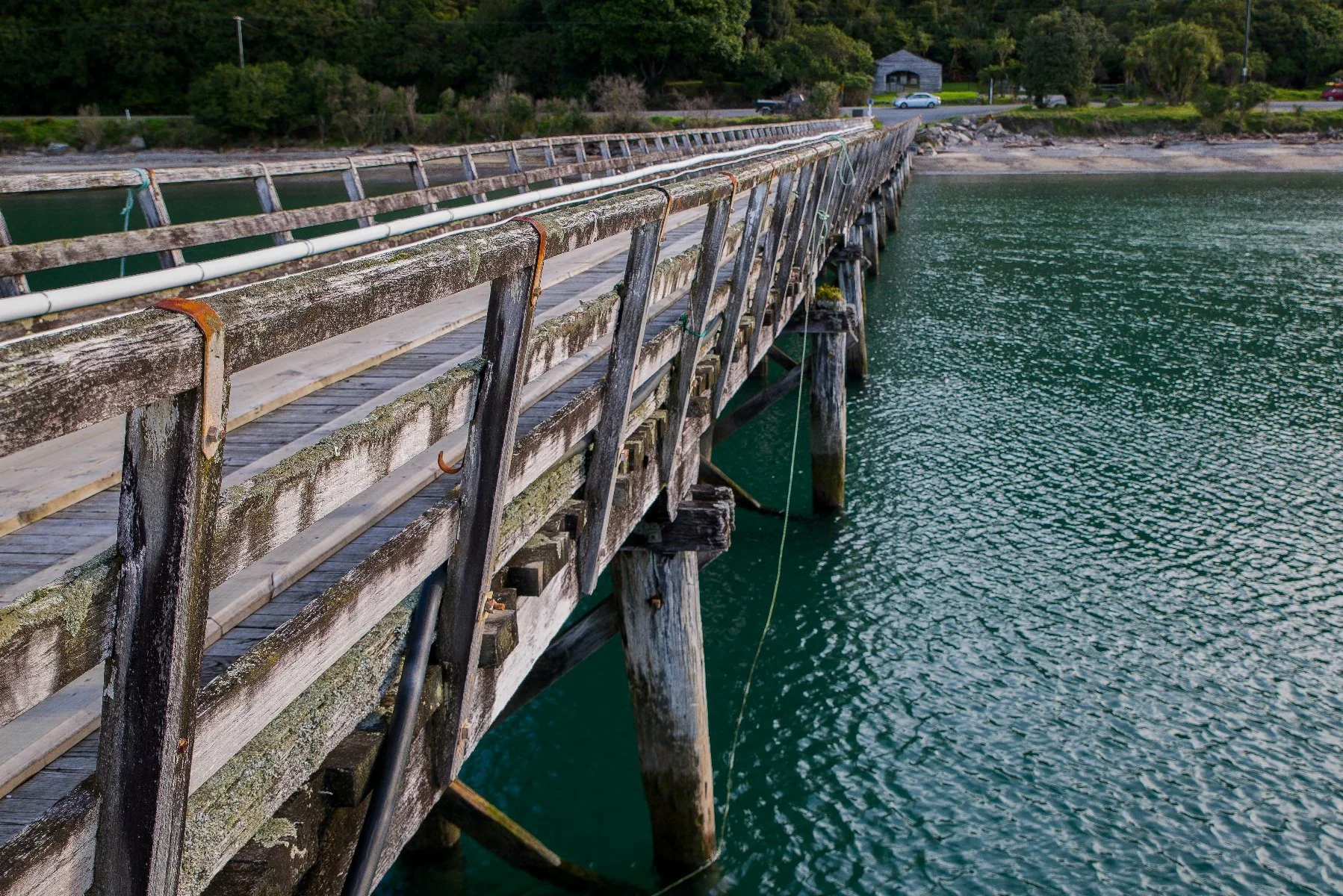 Jackson Bay,-129.JPG