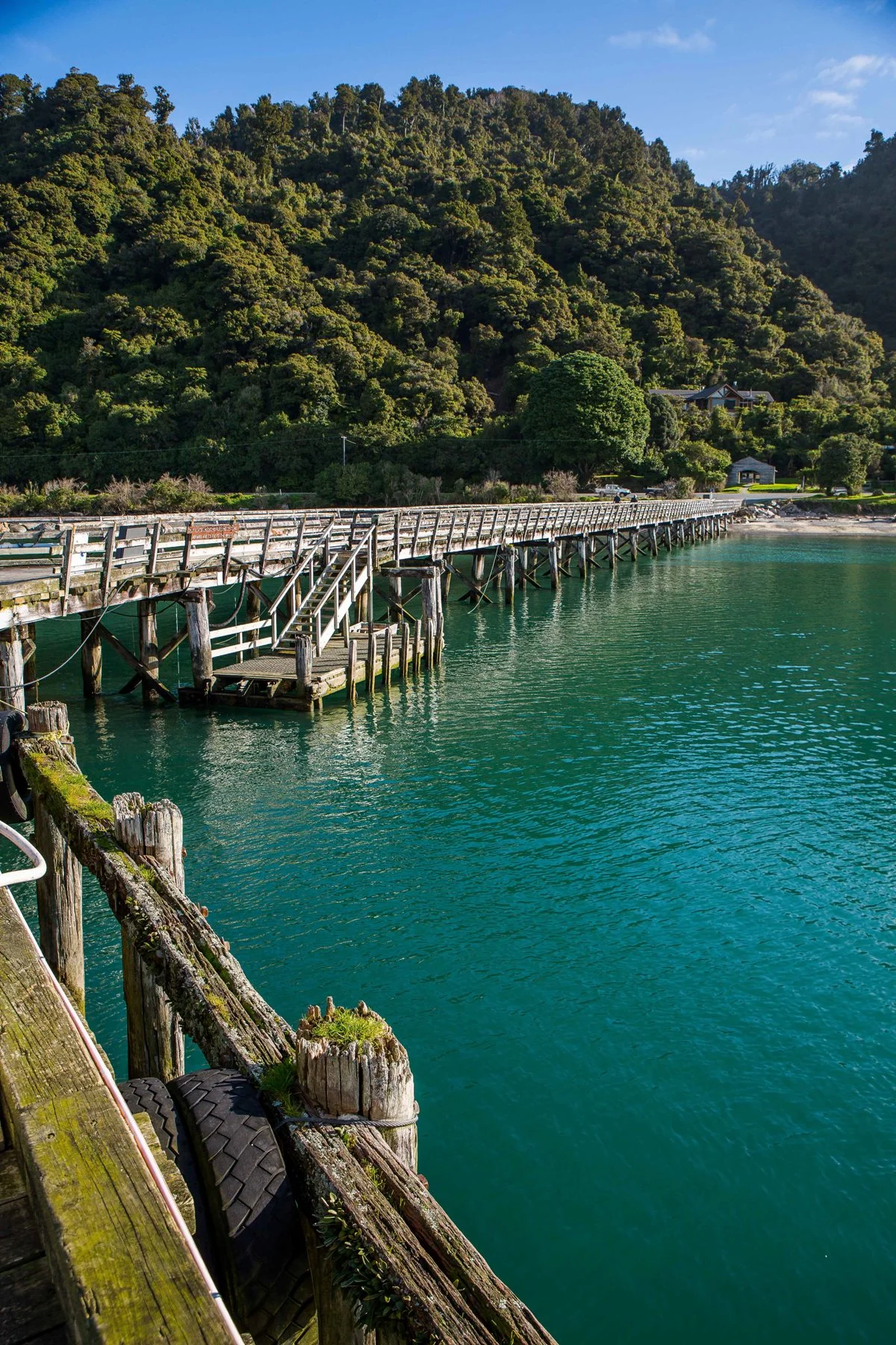 Jackson Bay,-134.JPG