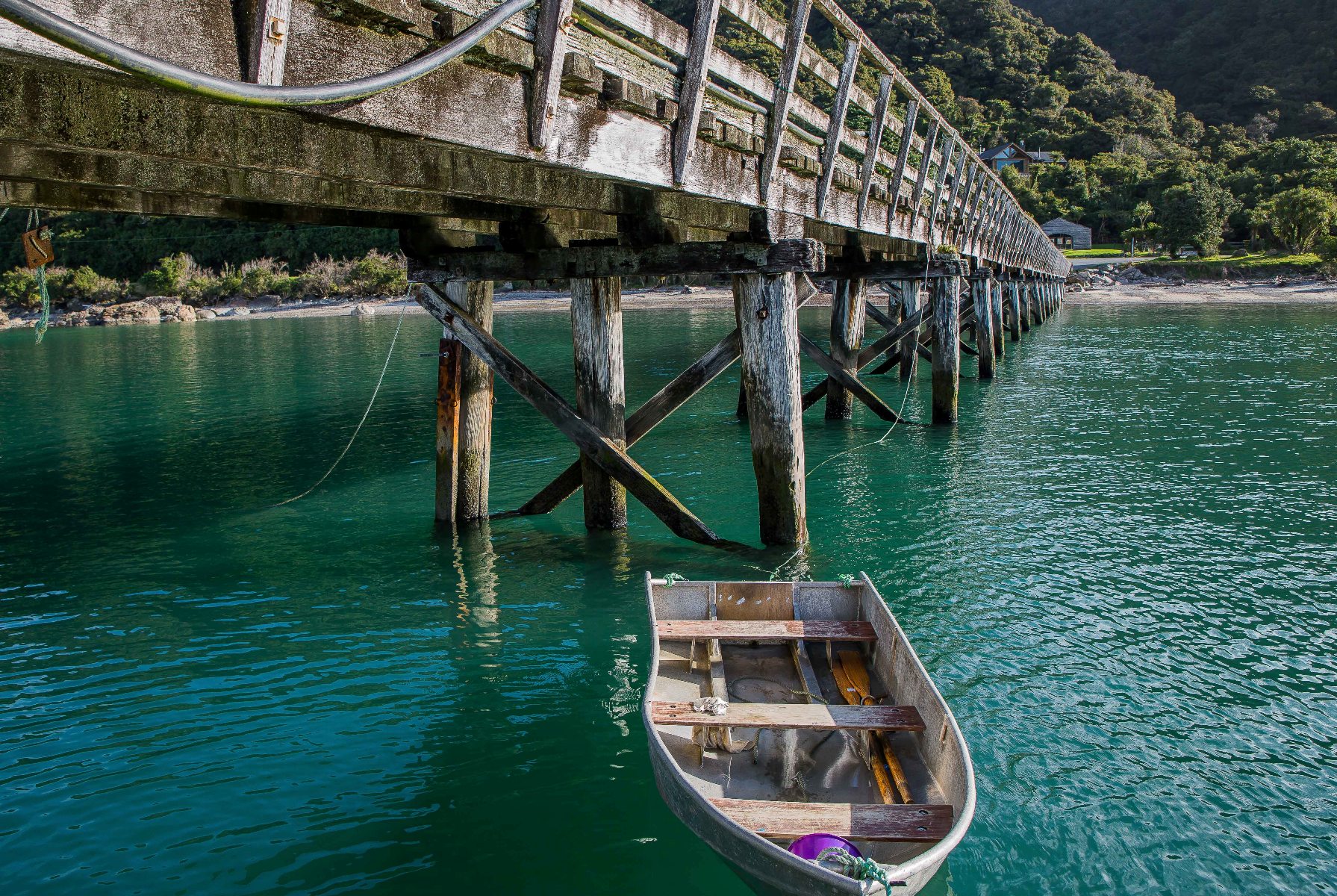 Jackson Bay,-139.JPG