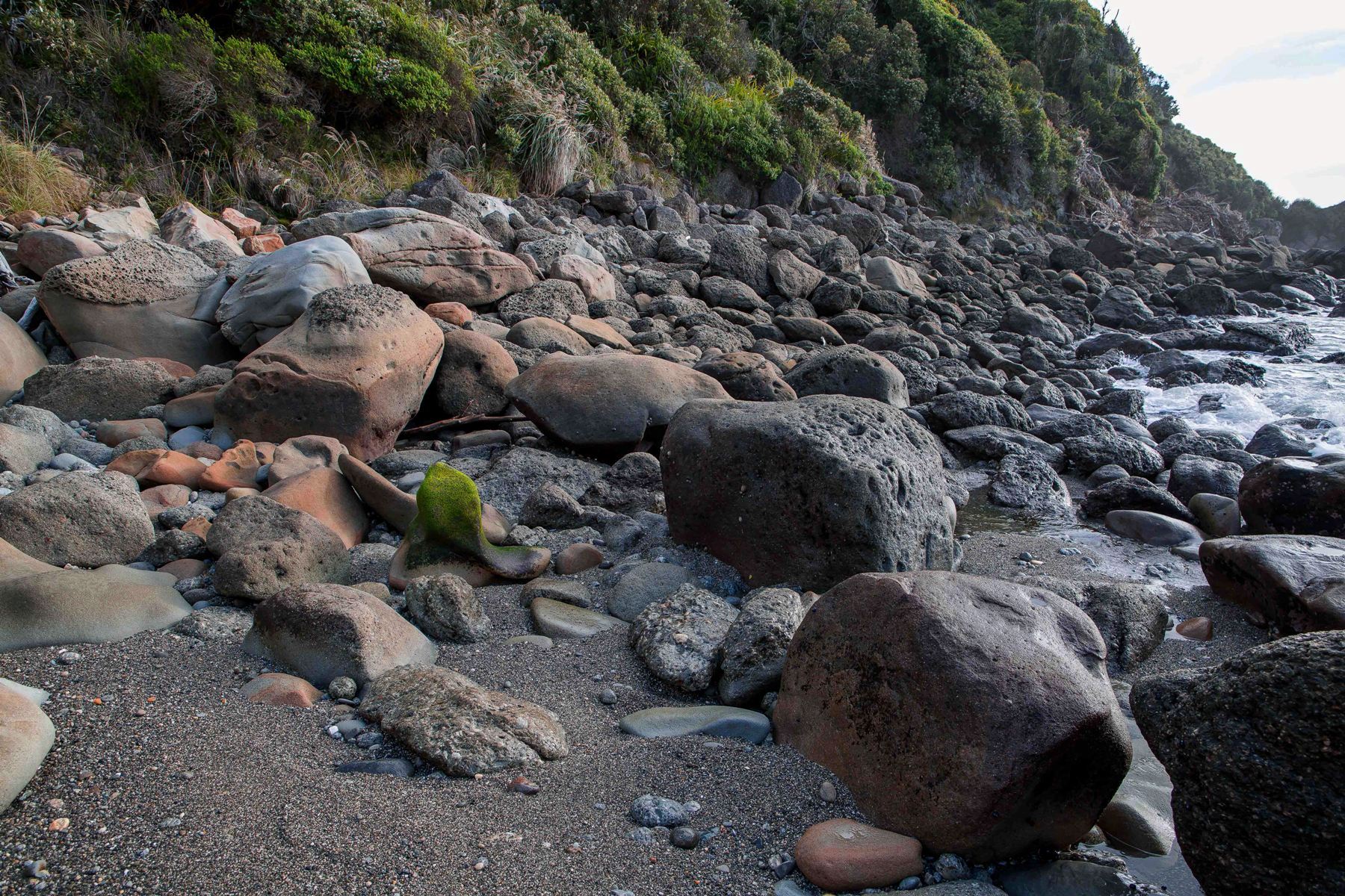 Jackson Bay,-150.JPG