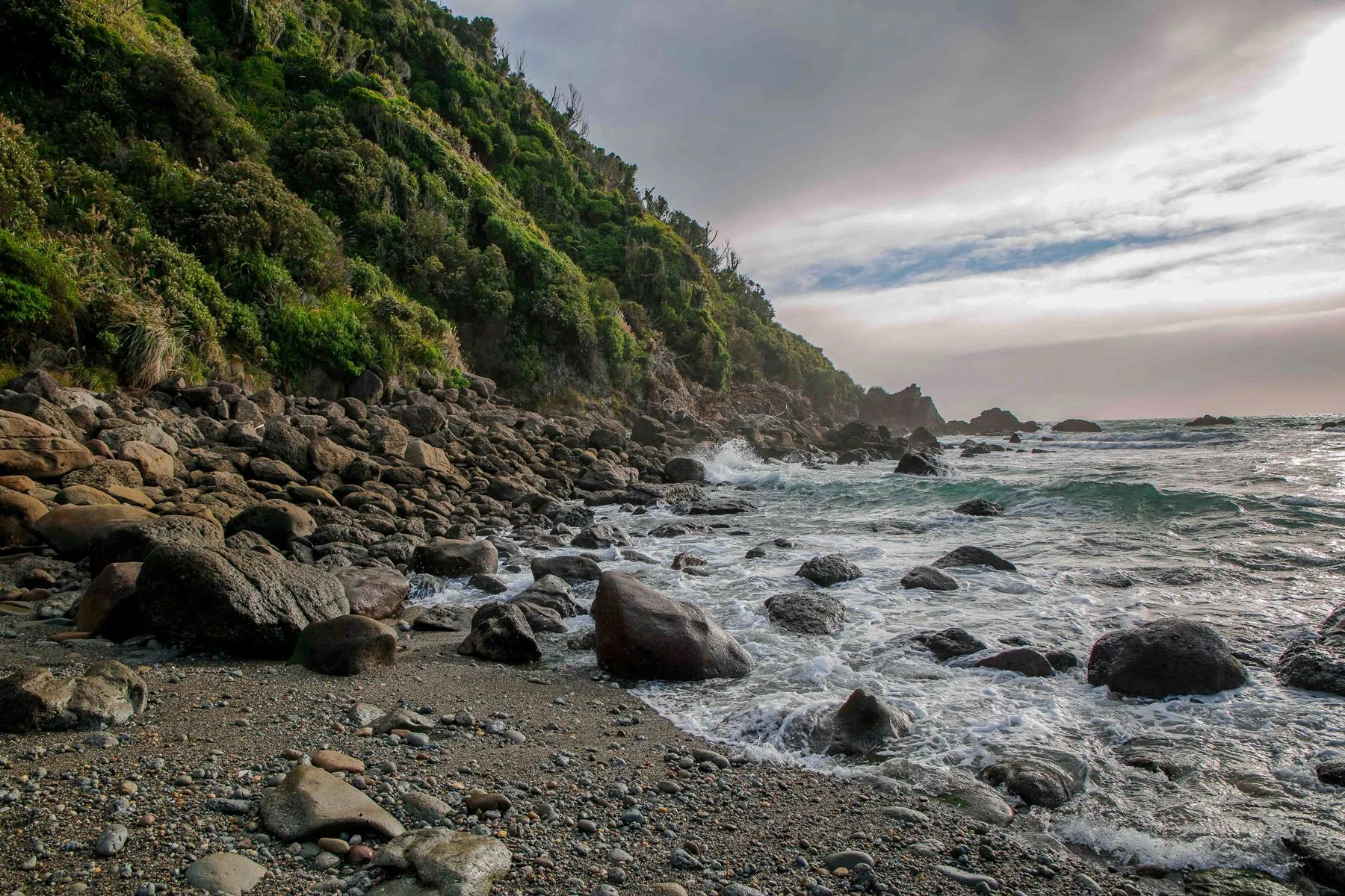 Jackson Bay,-153.JPG