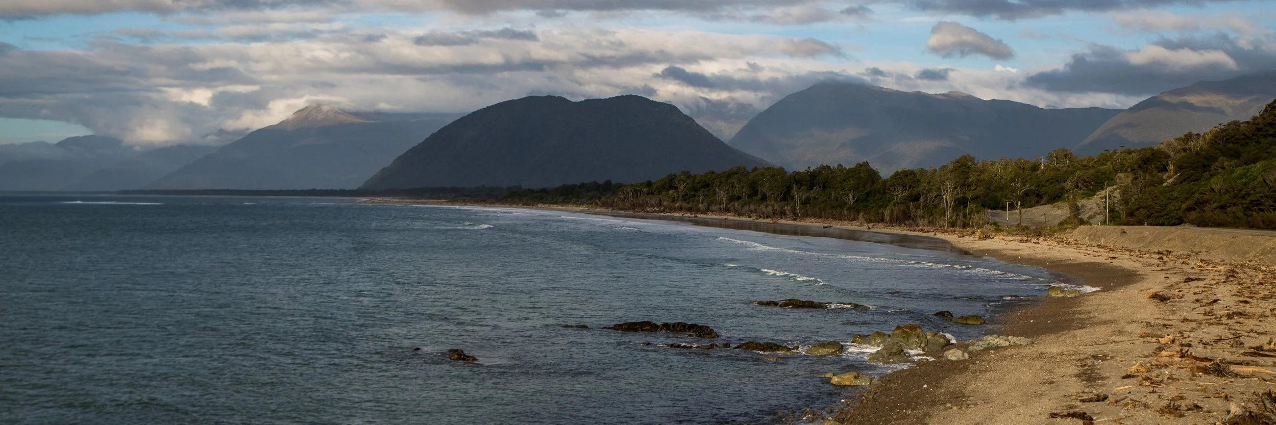 Jackson Bay,-162.JPG