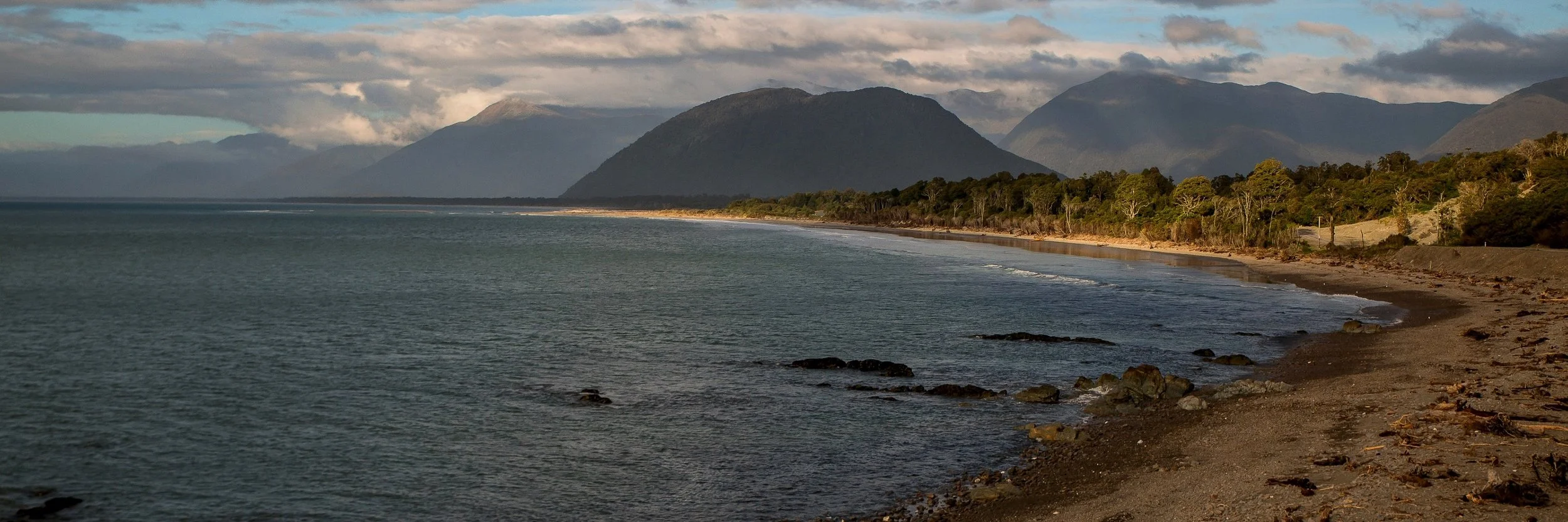 Jackson Bay,-165.JPG