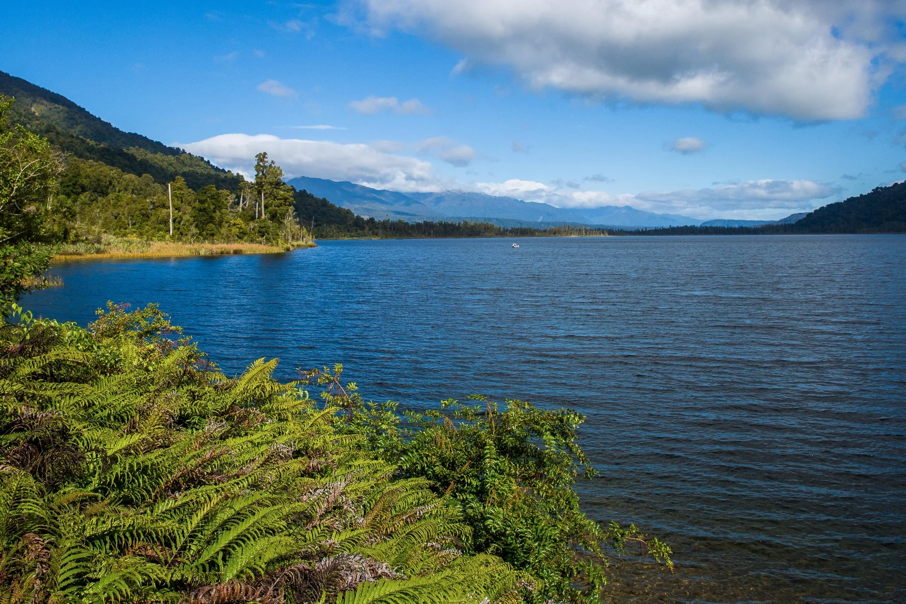 Lake Ianthe,-1479.JPG