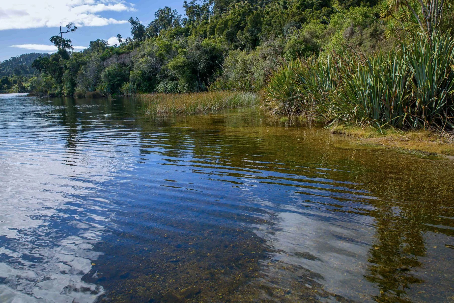Lake Ianthe,-1487.JPG